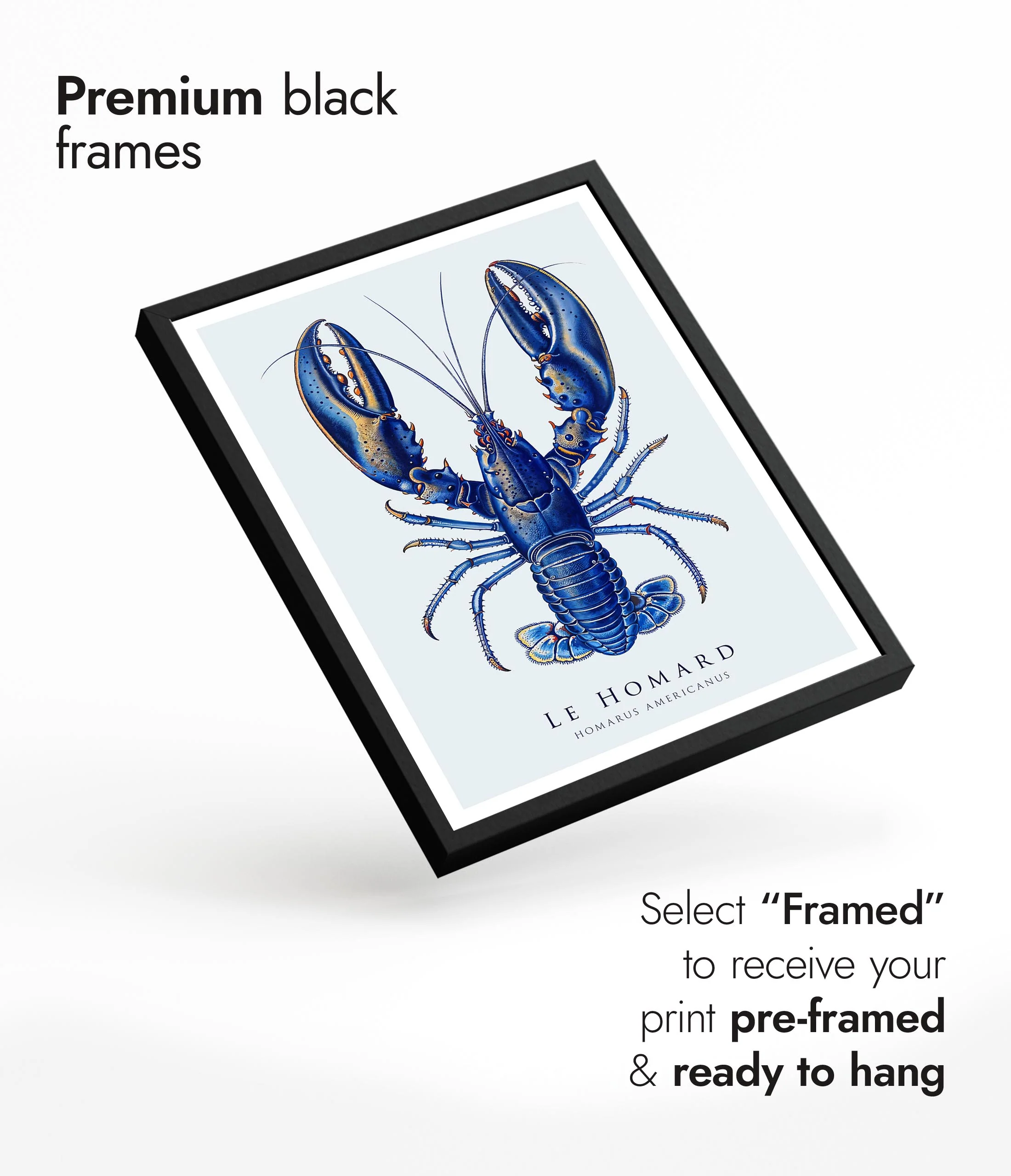 Lobster - Image 7