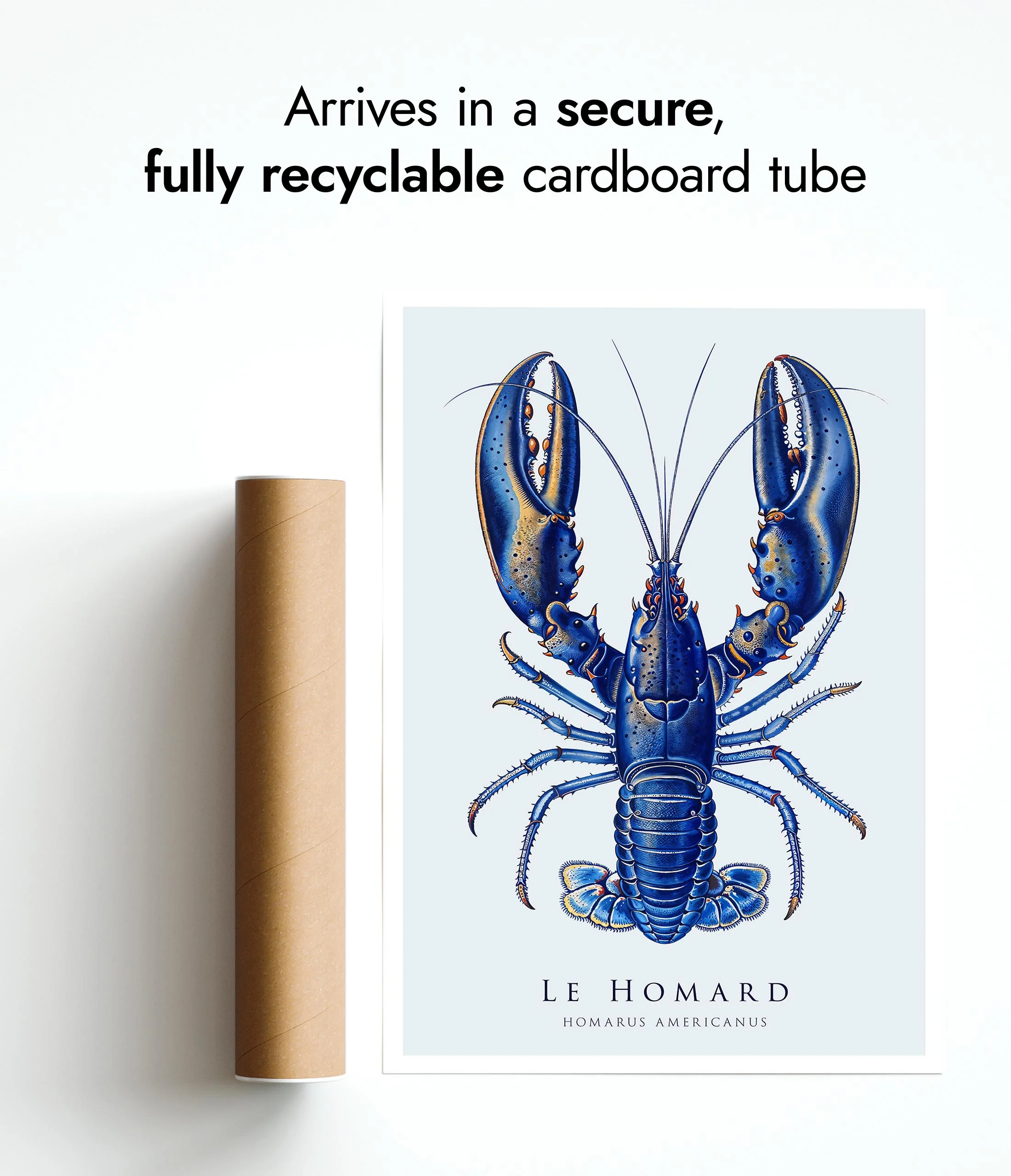 Lobster - Image 9