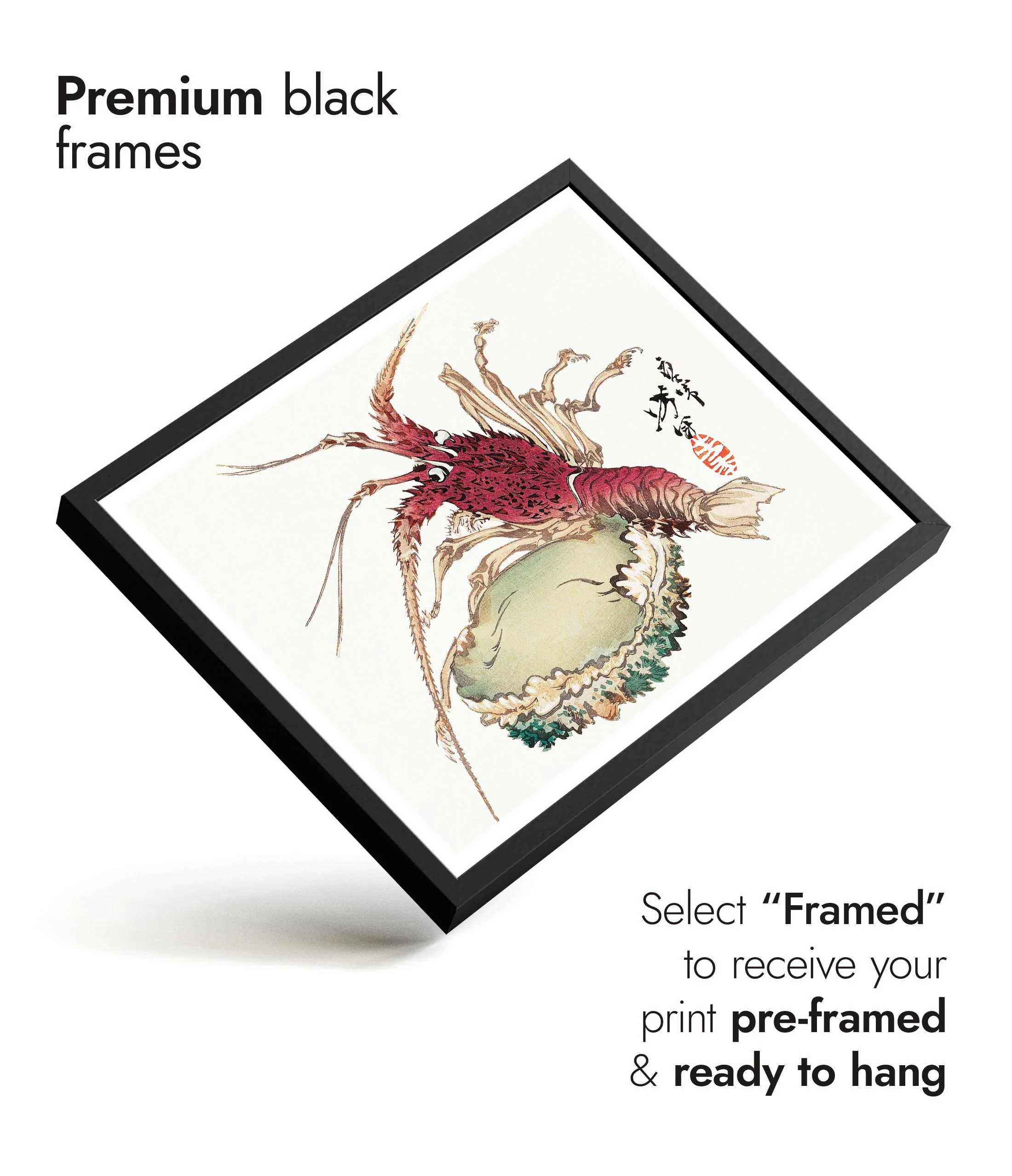 Lobster & Abalone - Image 7