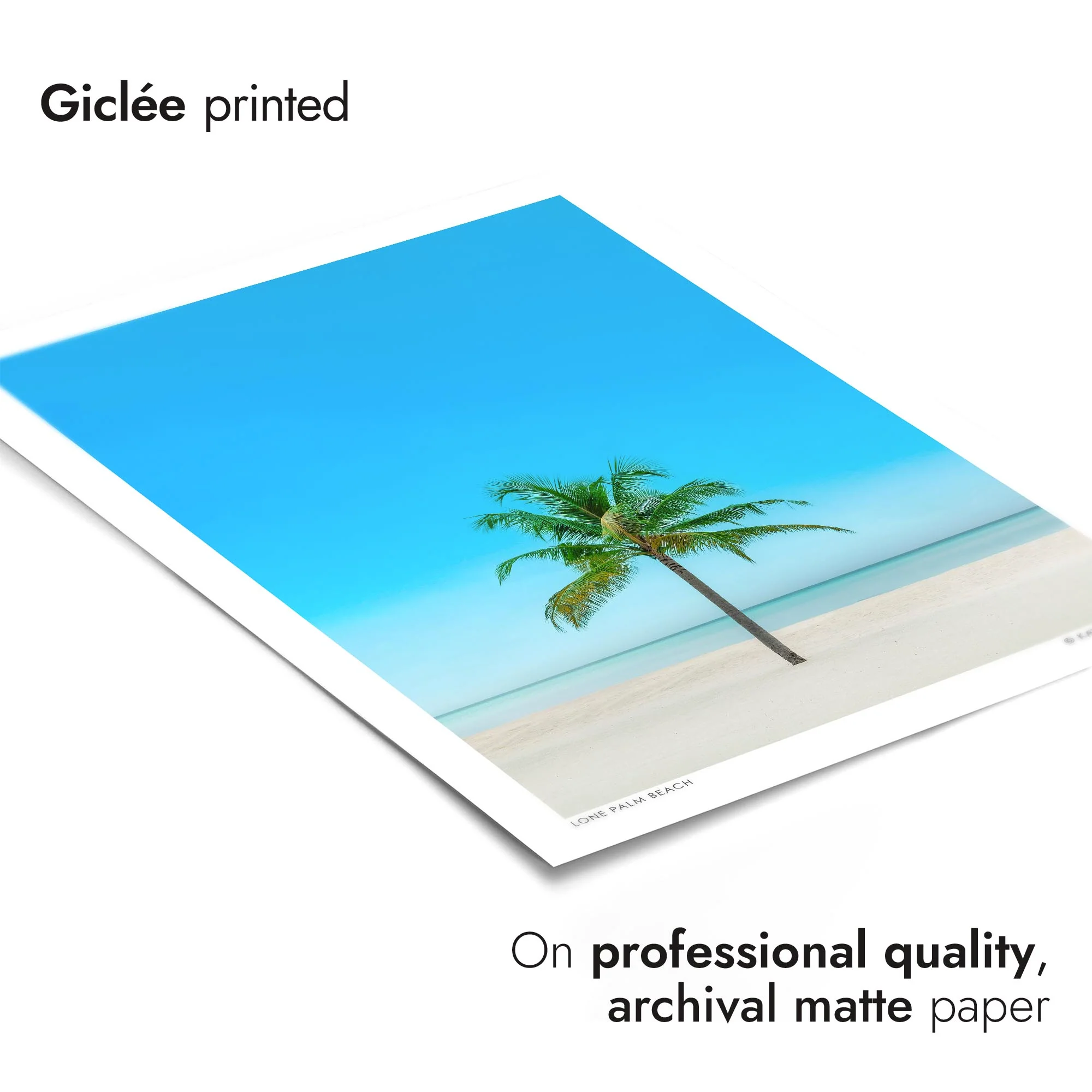 Lone Palm Beach - Image 6