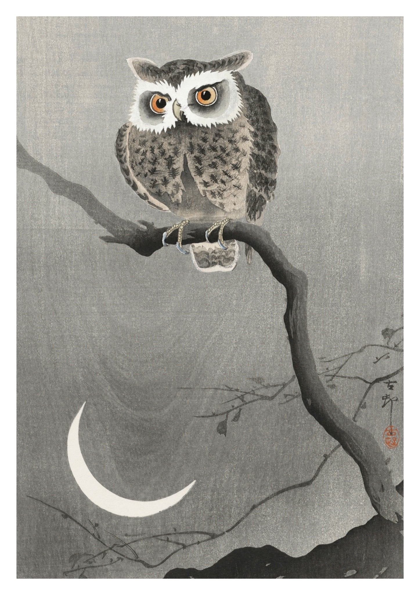 Long-eared Owl on Bare Tree Branch