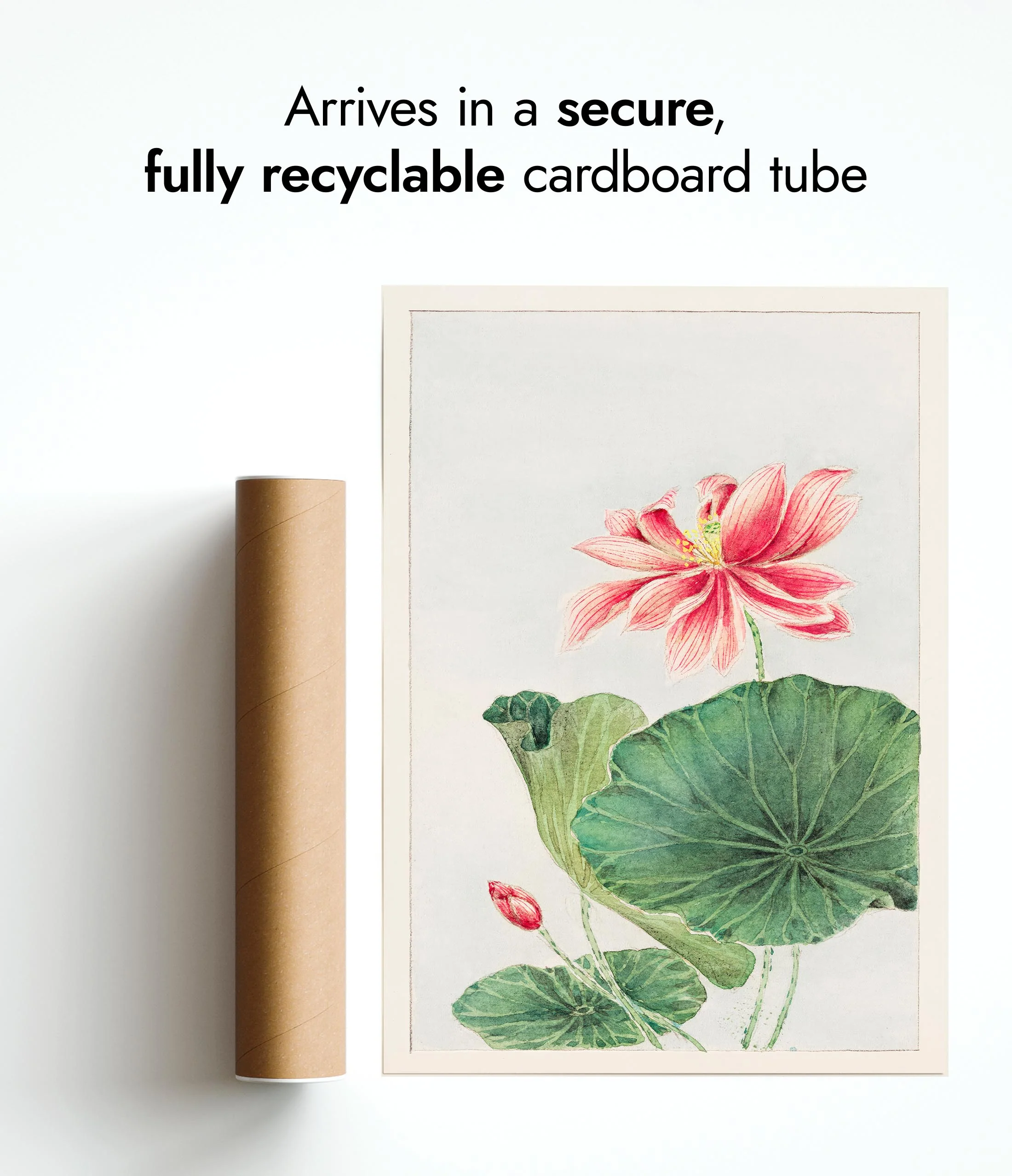 Lotus - Image 9