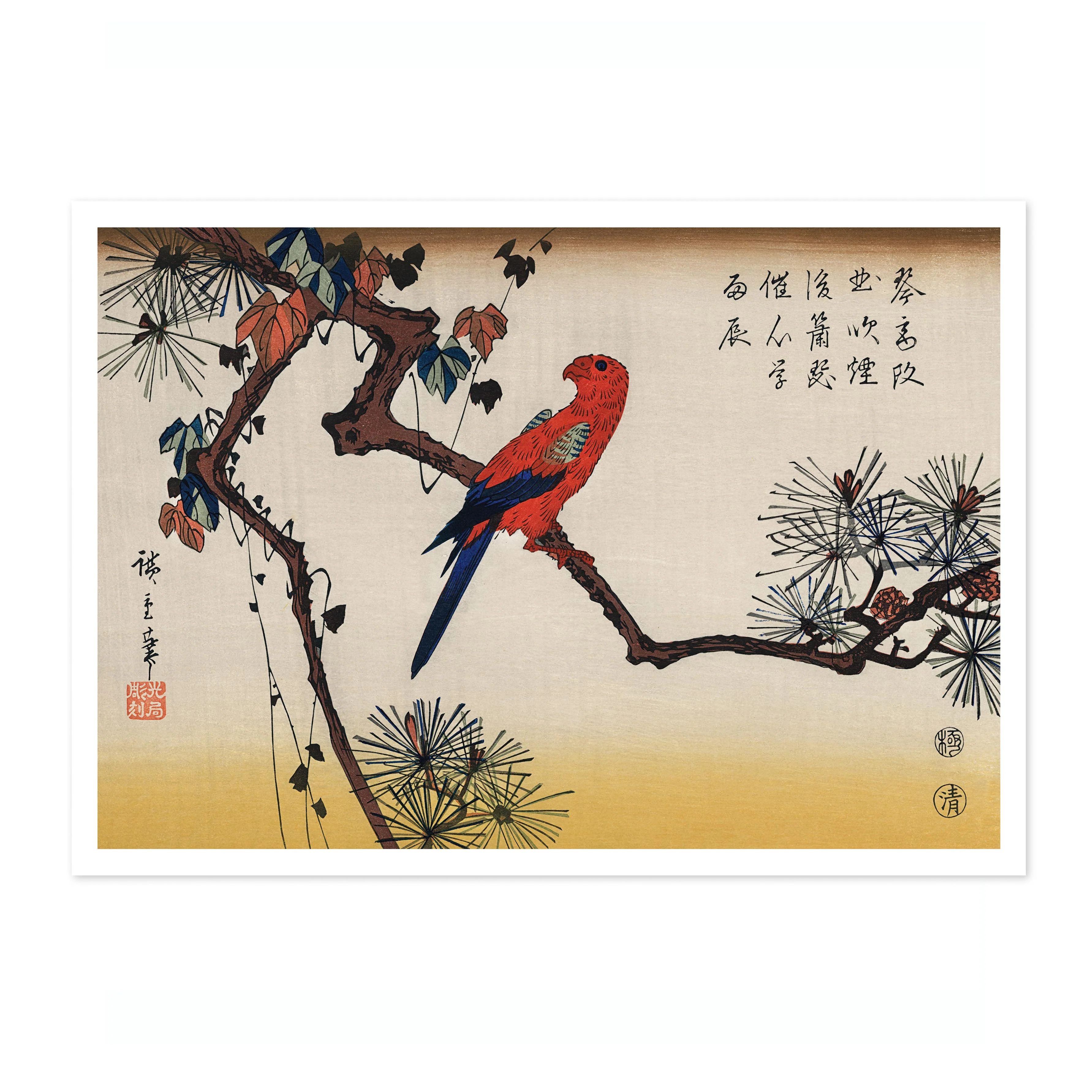 Macaw on Pine Branch - Image 4