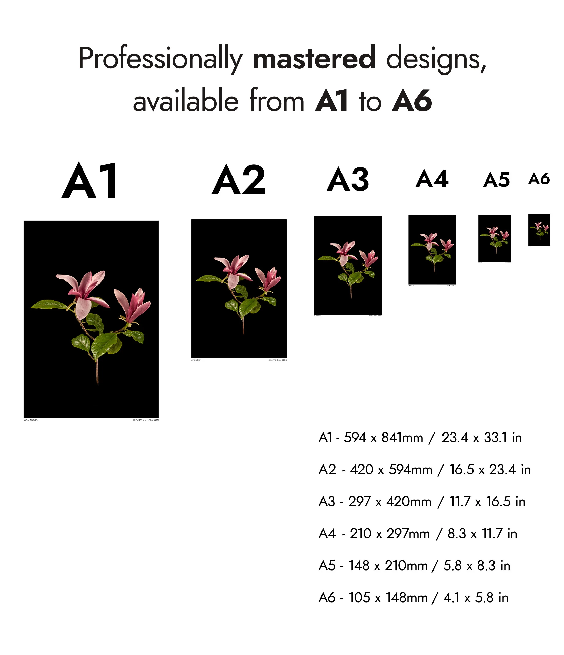 Magnolia - Image 8