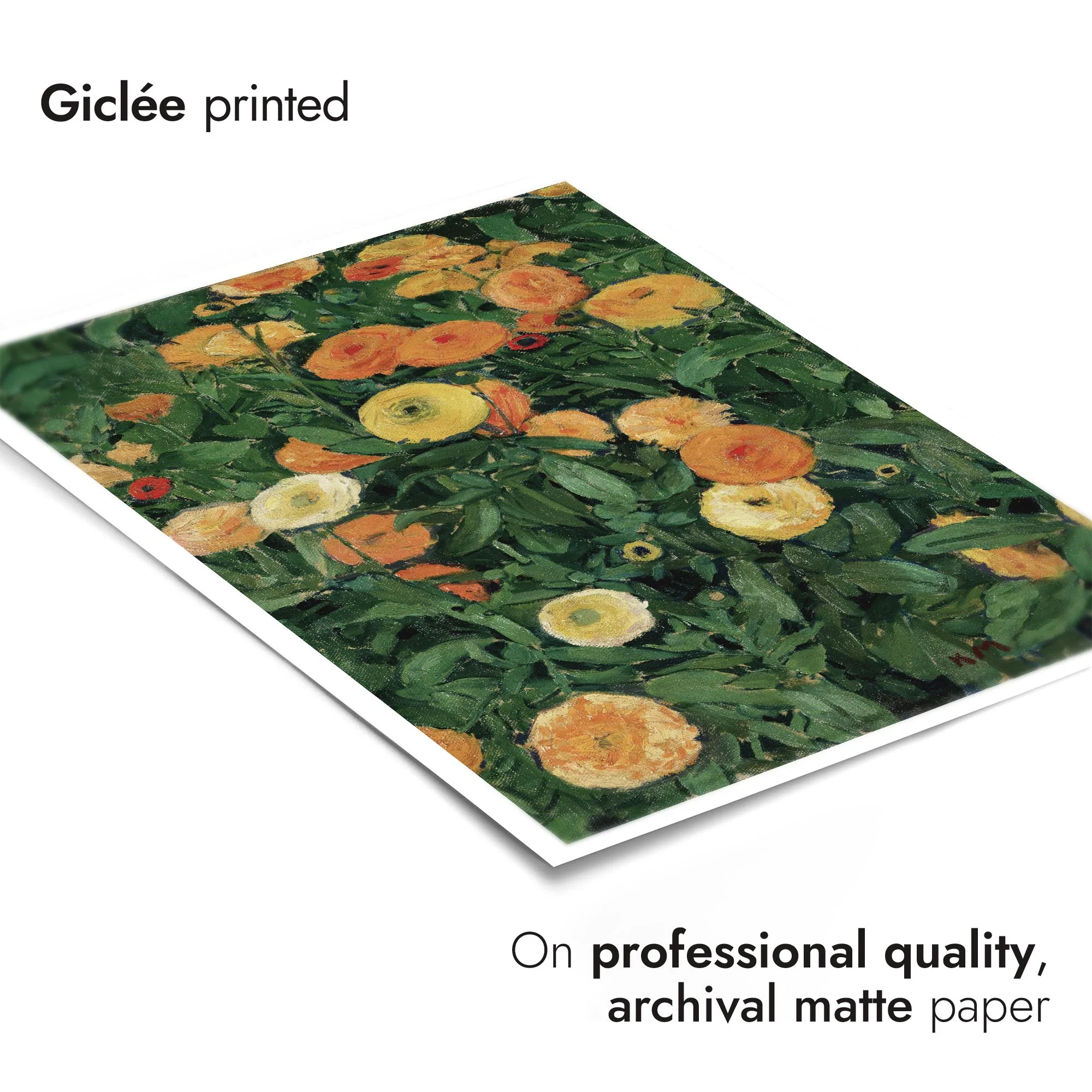 Marigolds - Image 6