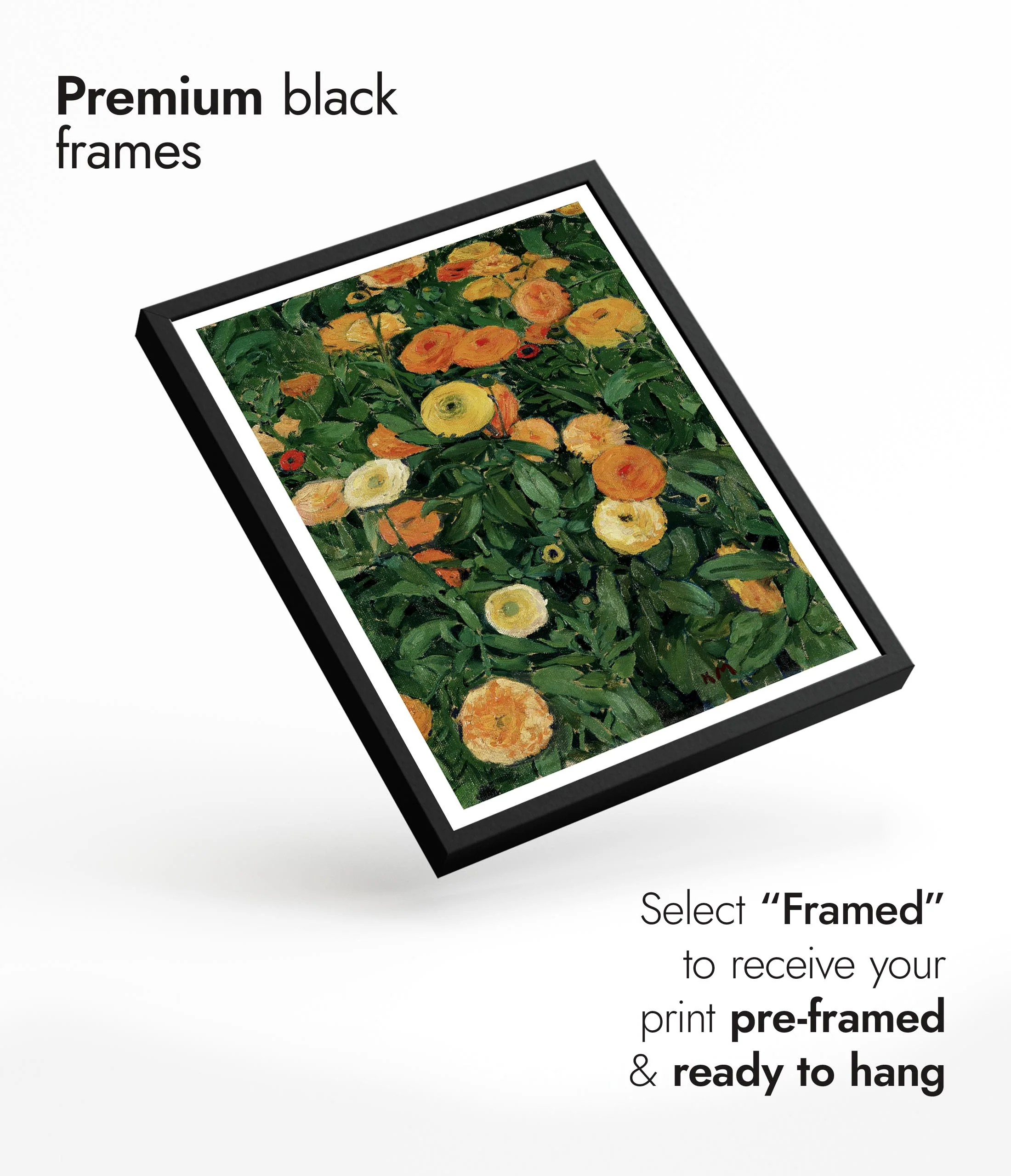 Marigolds - Image 7