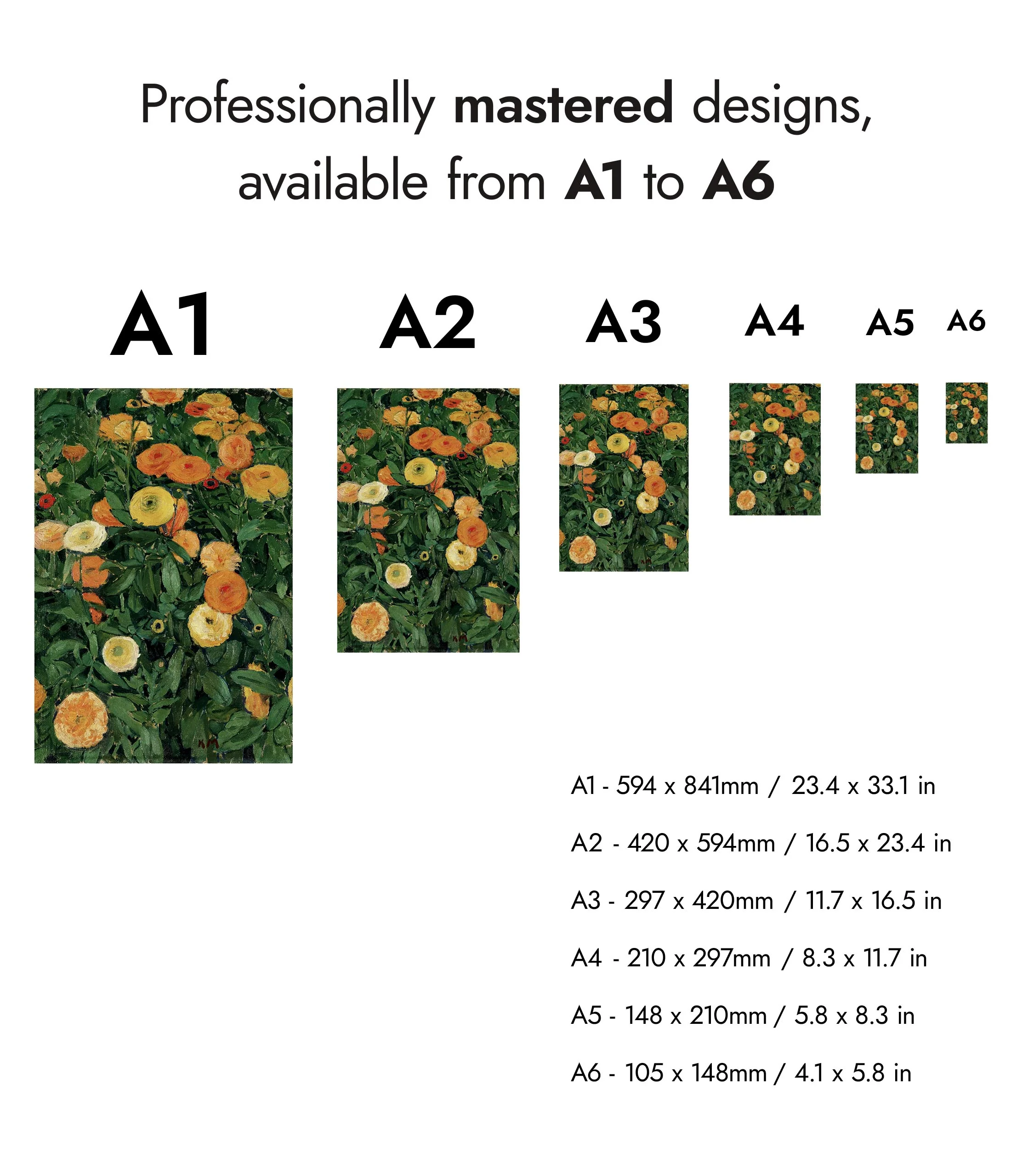 Marigolds - Image 8