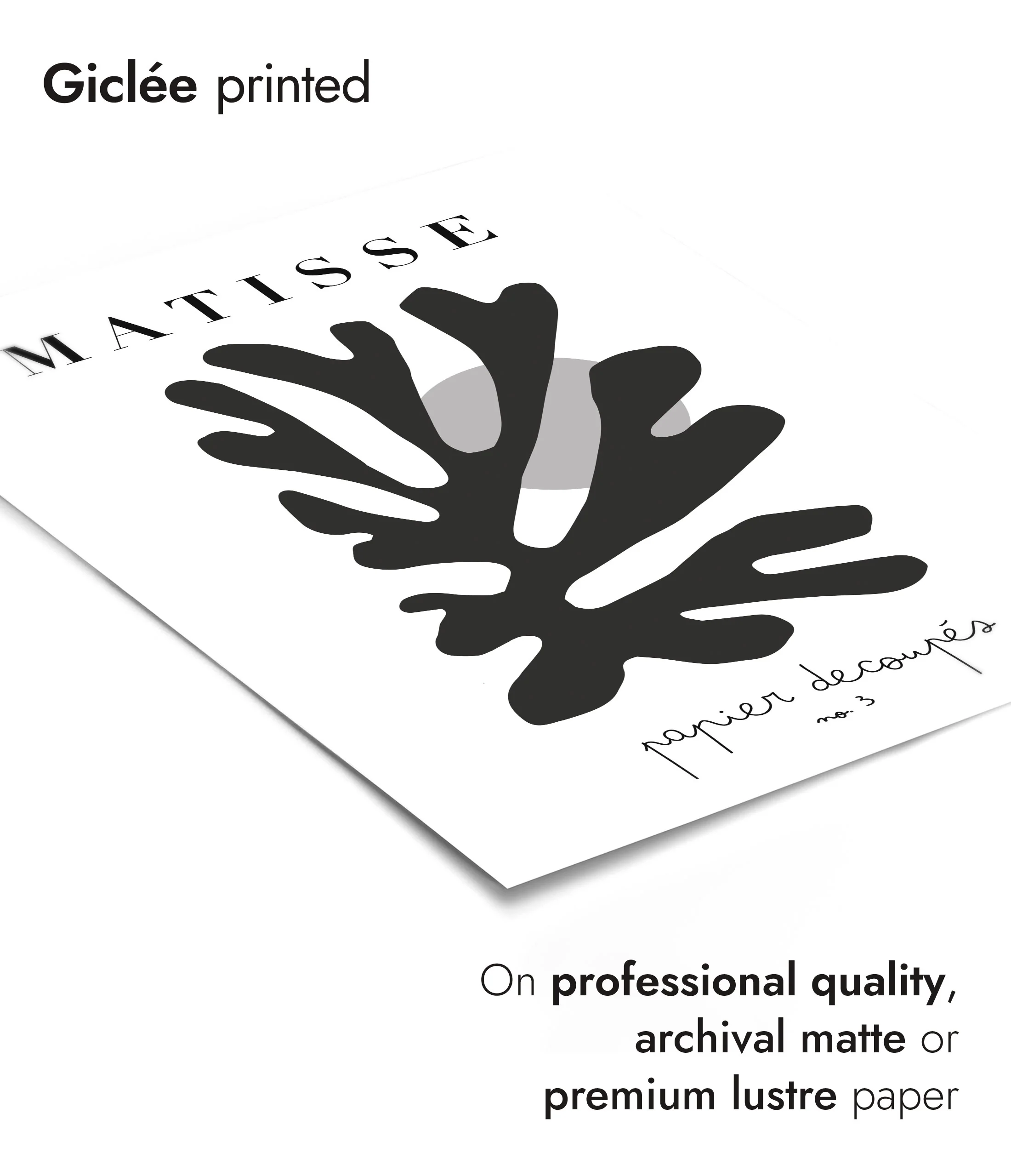 Matisse Cutouts No. 3 B&W - Image 6