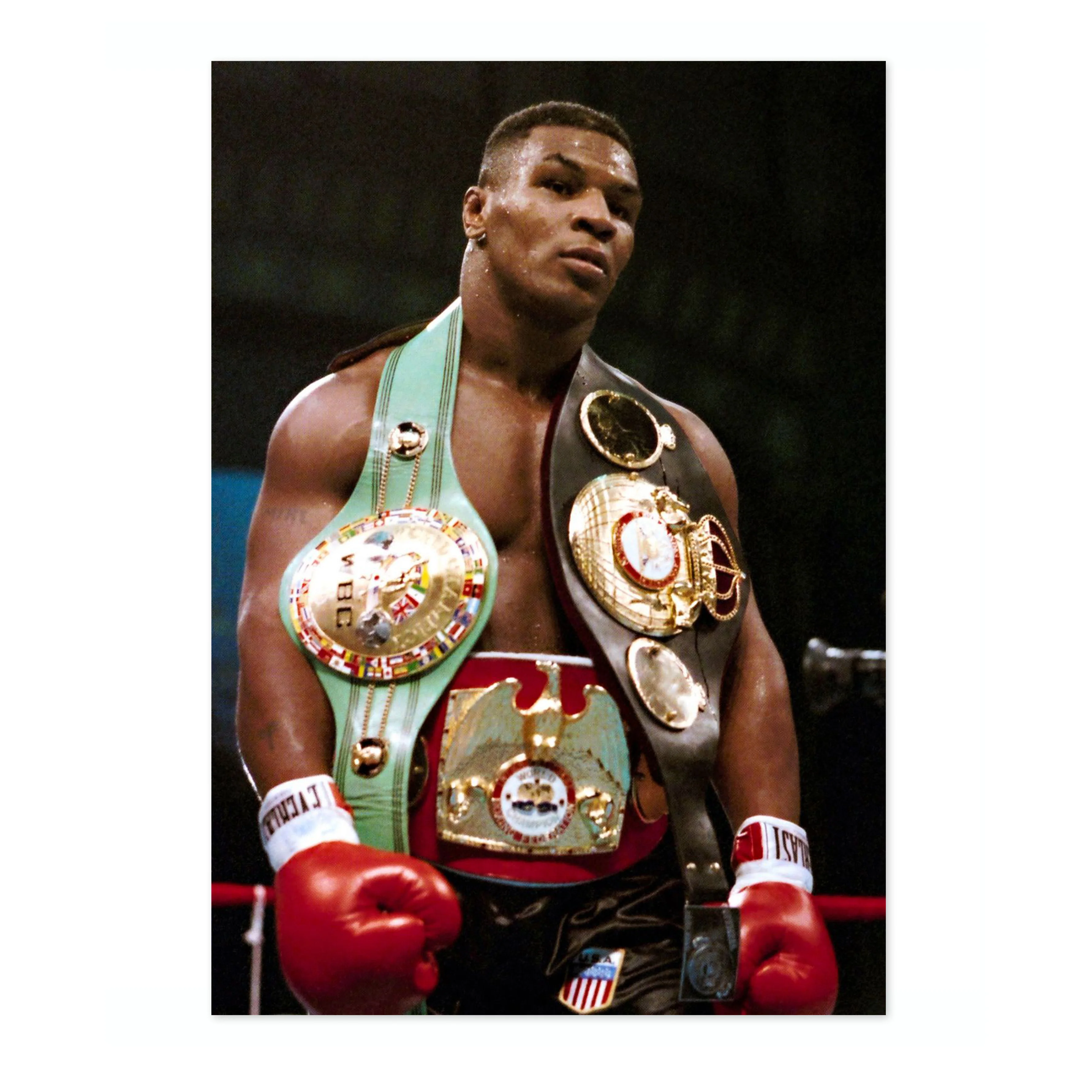 Mike Tyson - Image 4