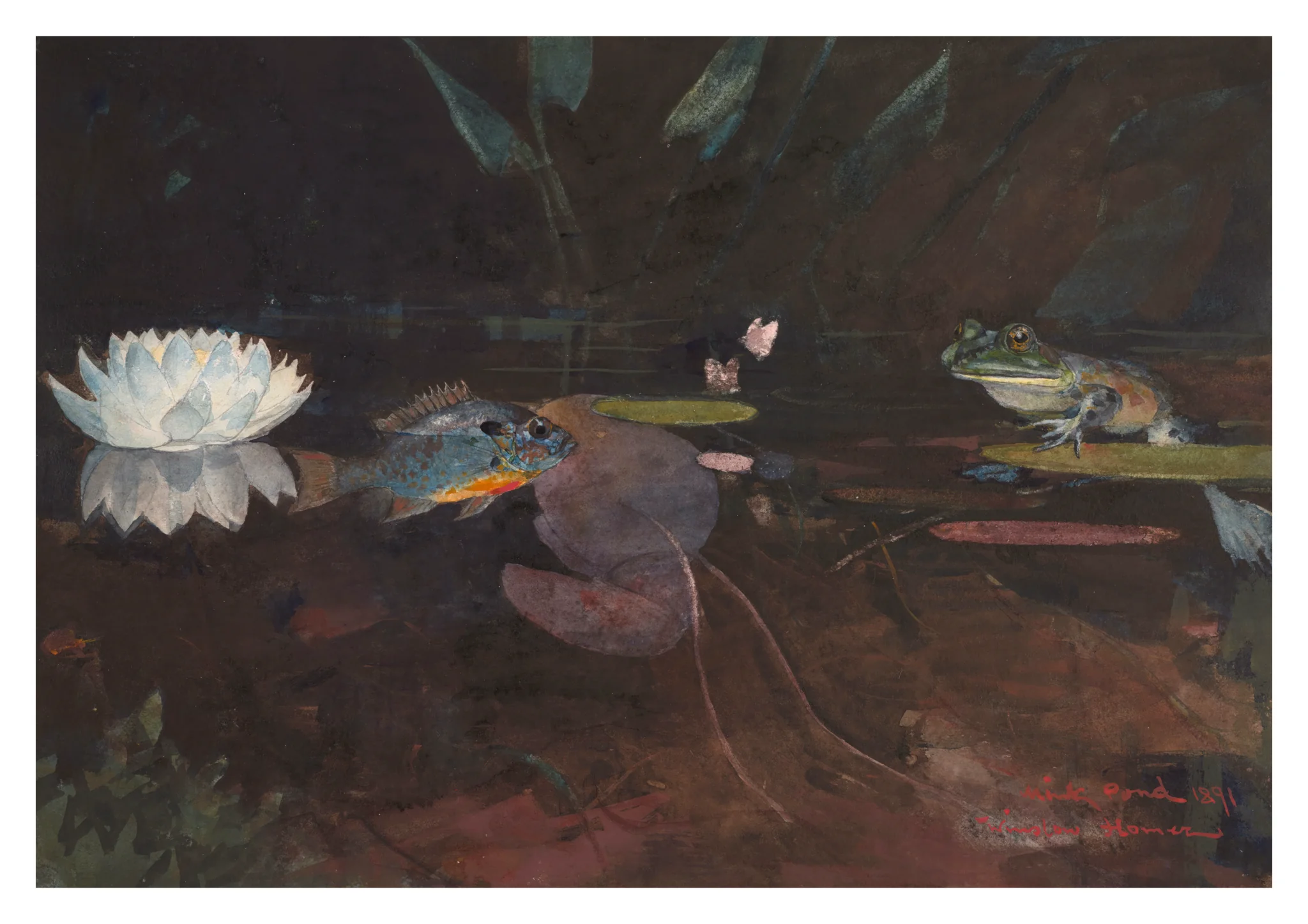 Mink Pond