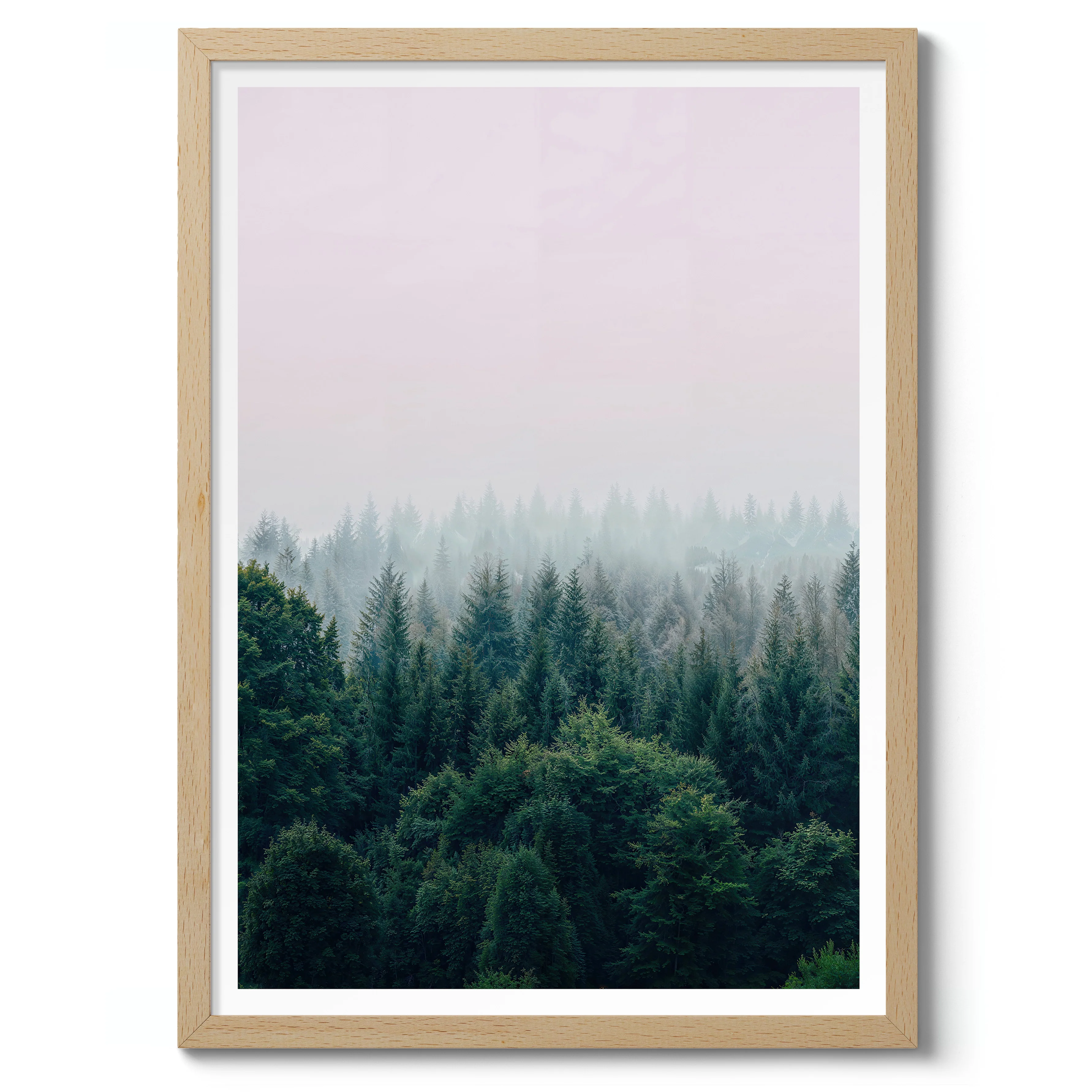Misty Trees - Image 3