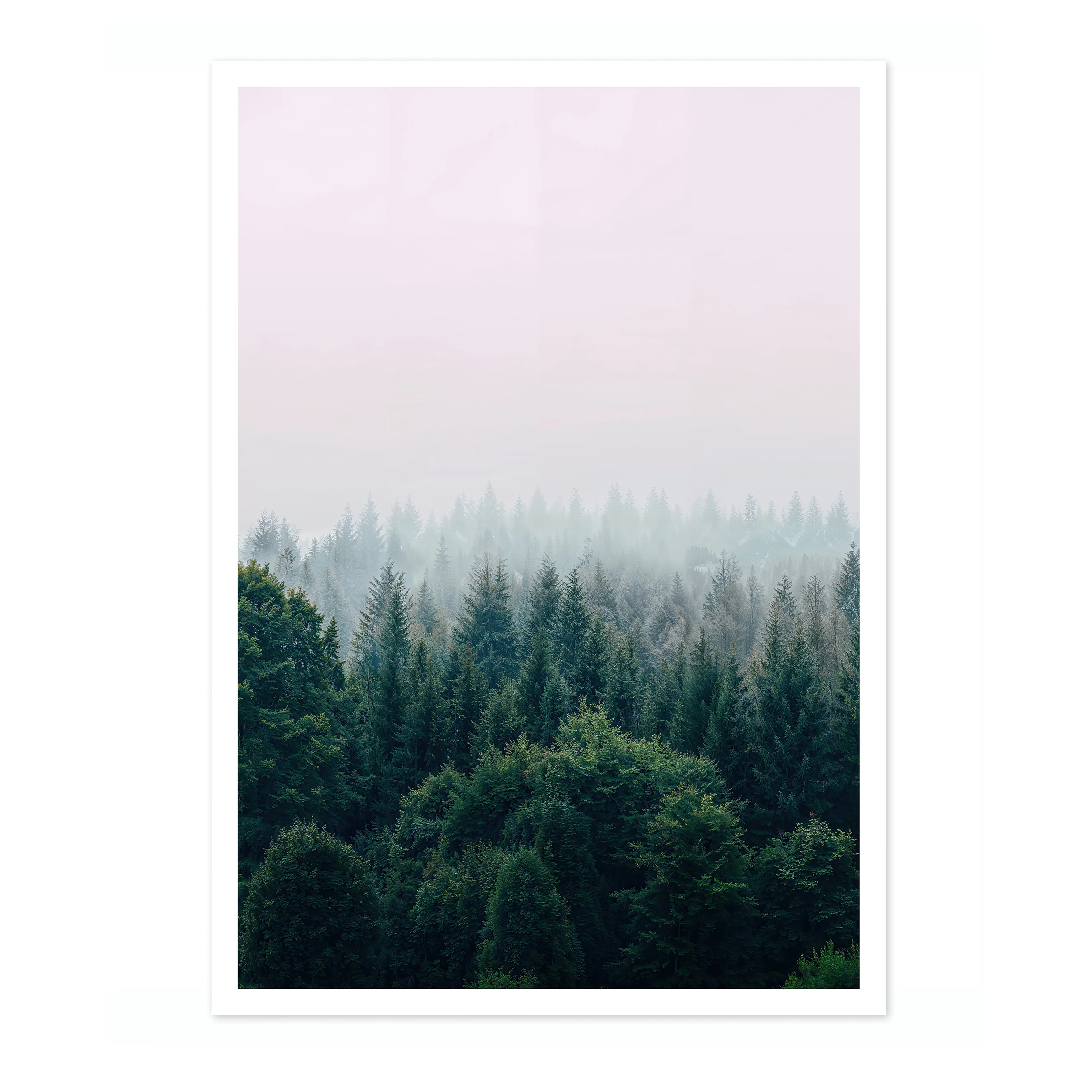 Misty Trees - Image 4