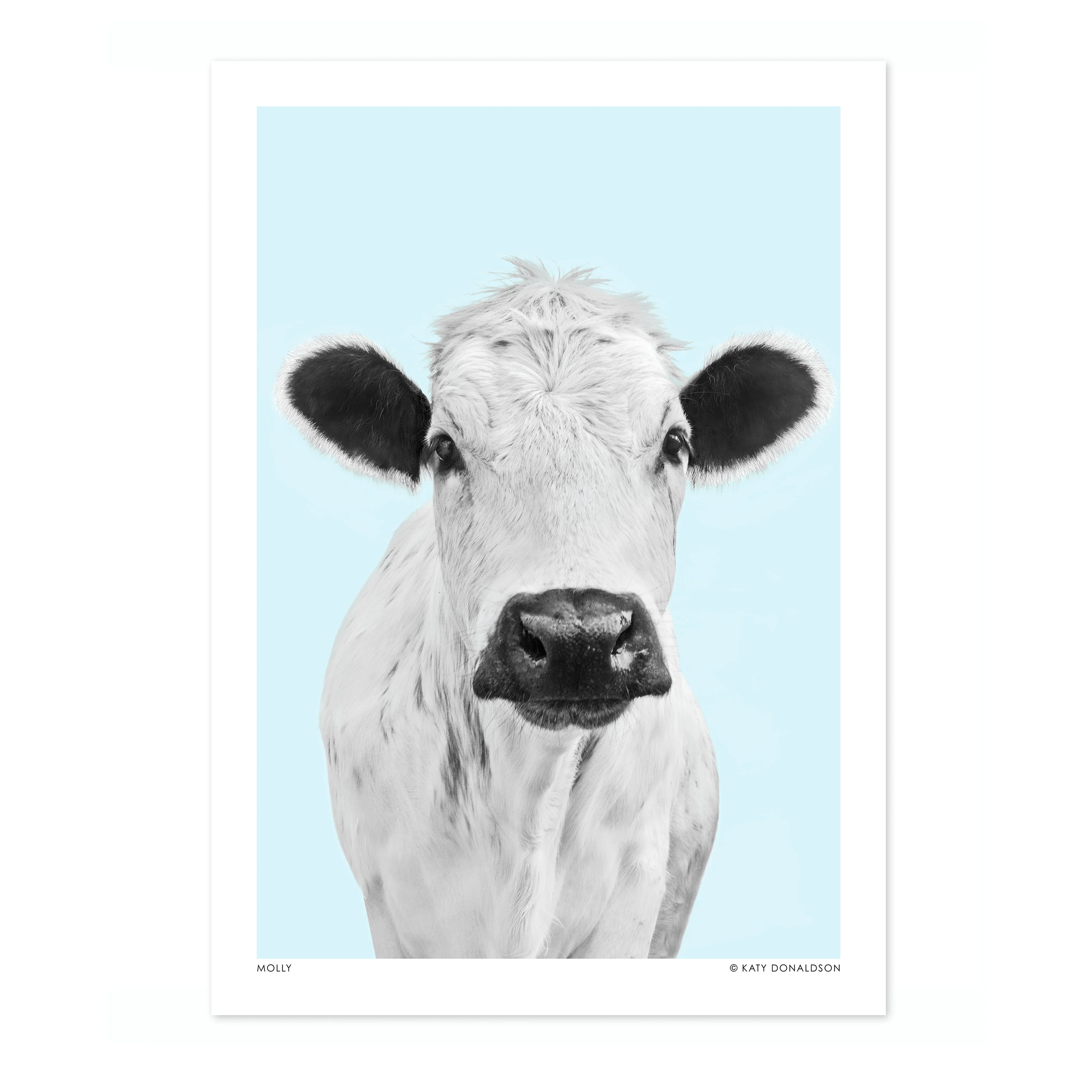 Molly - Image 4