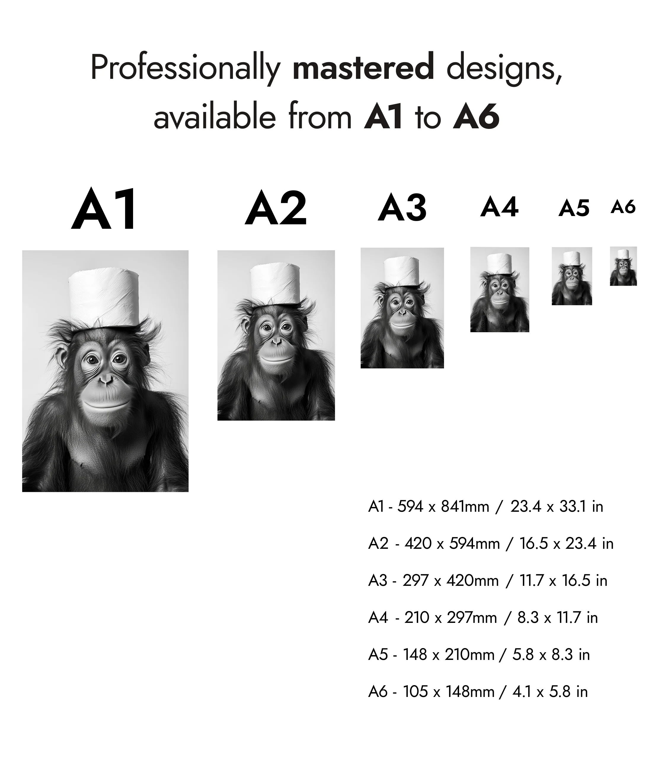 Monkey Business - Image 8