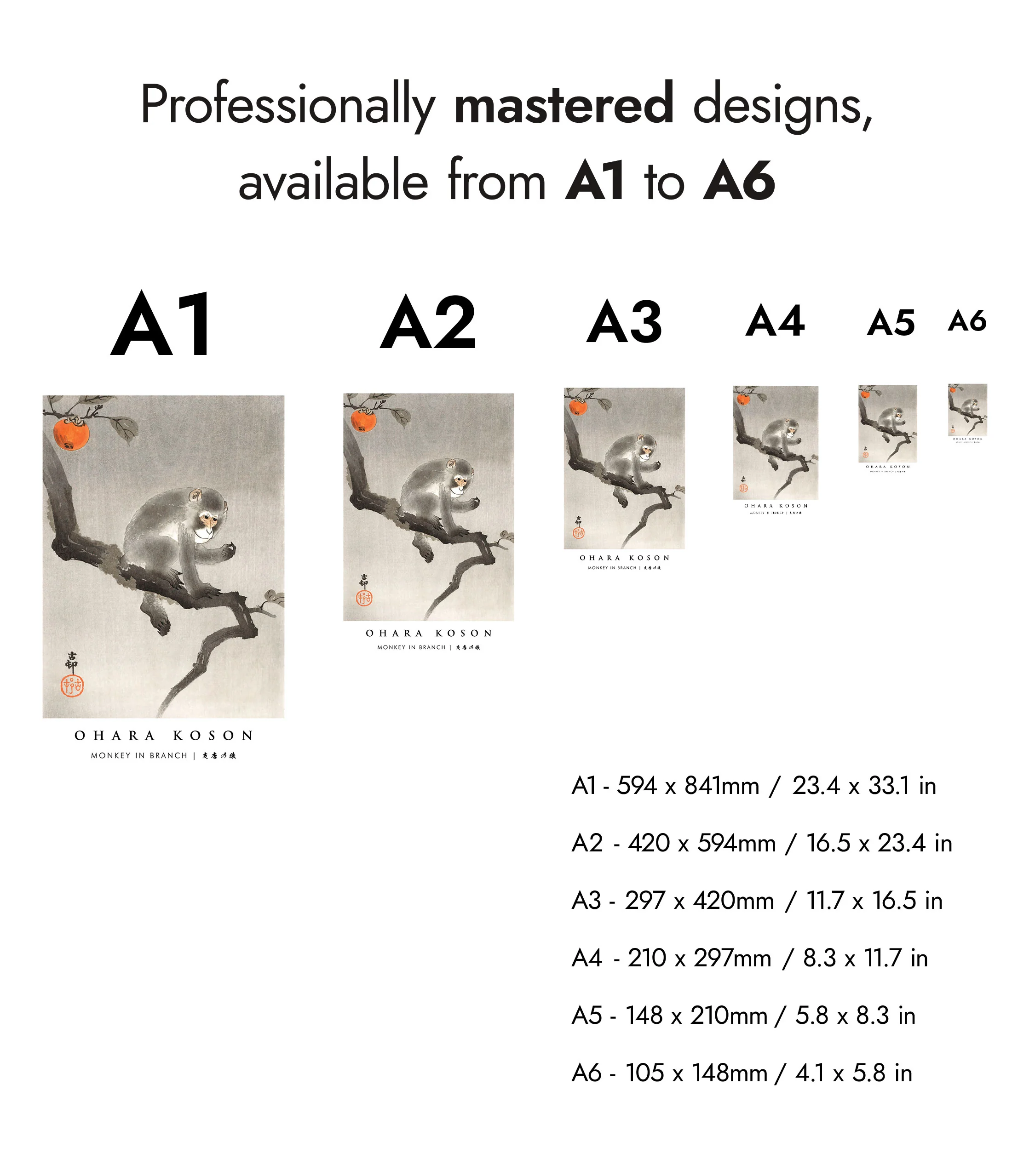 Monkey in Branch - Image 8