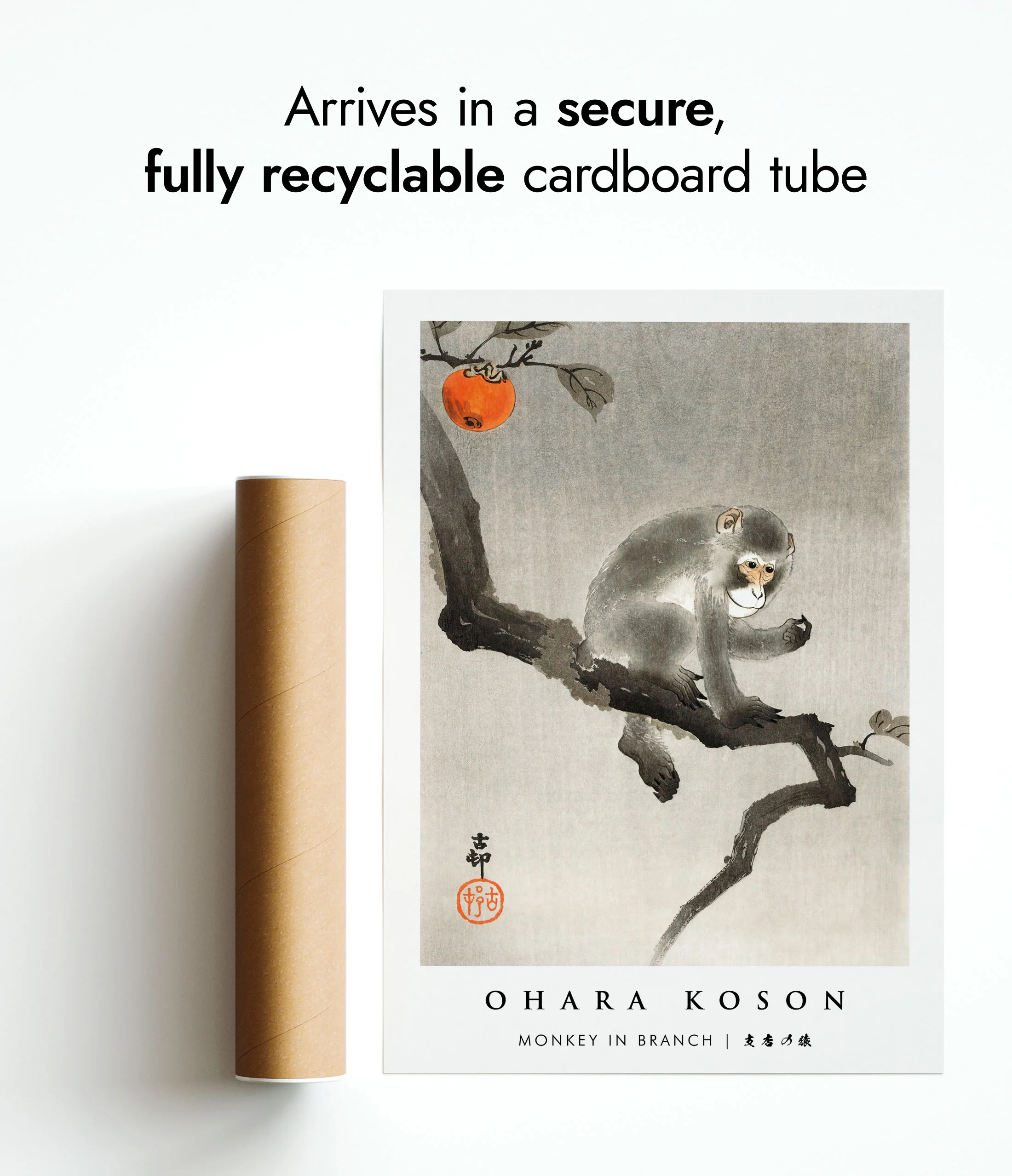 Monkey in Branch - Image 9
