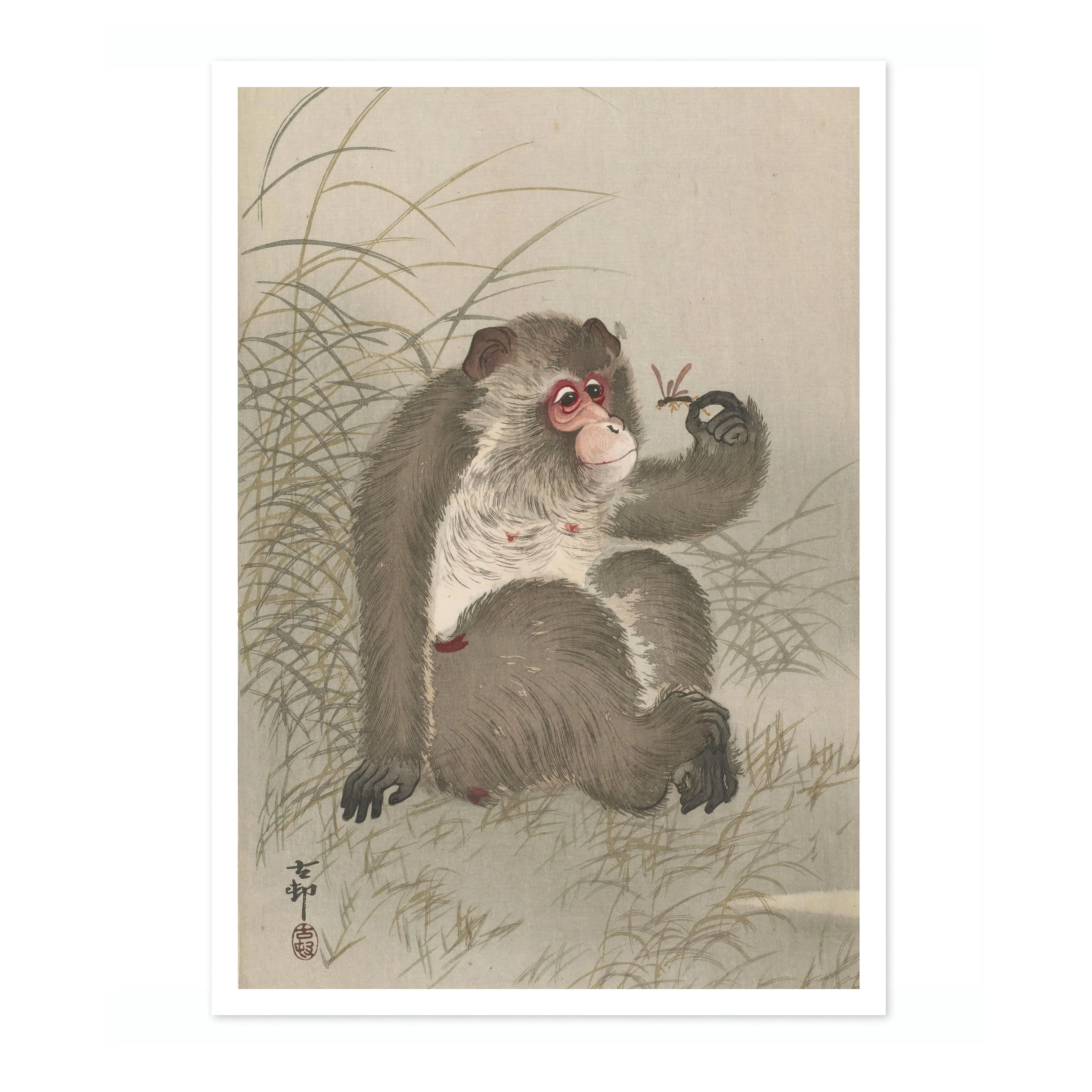 Monkey Studying a Dragonfly in his Hand - Image 4