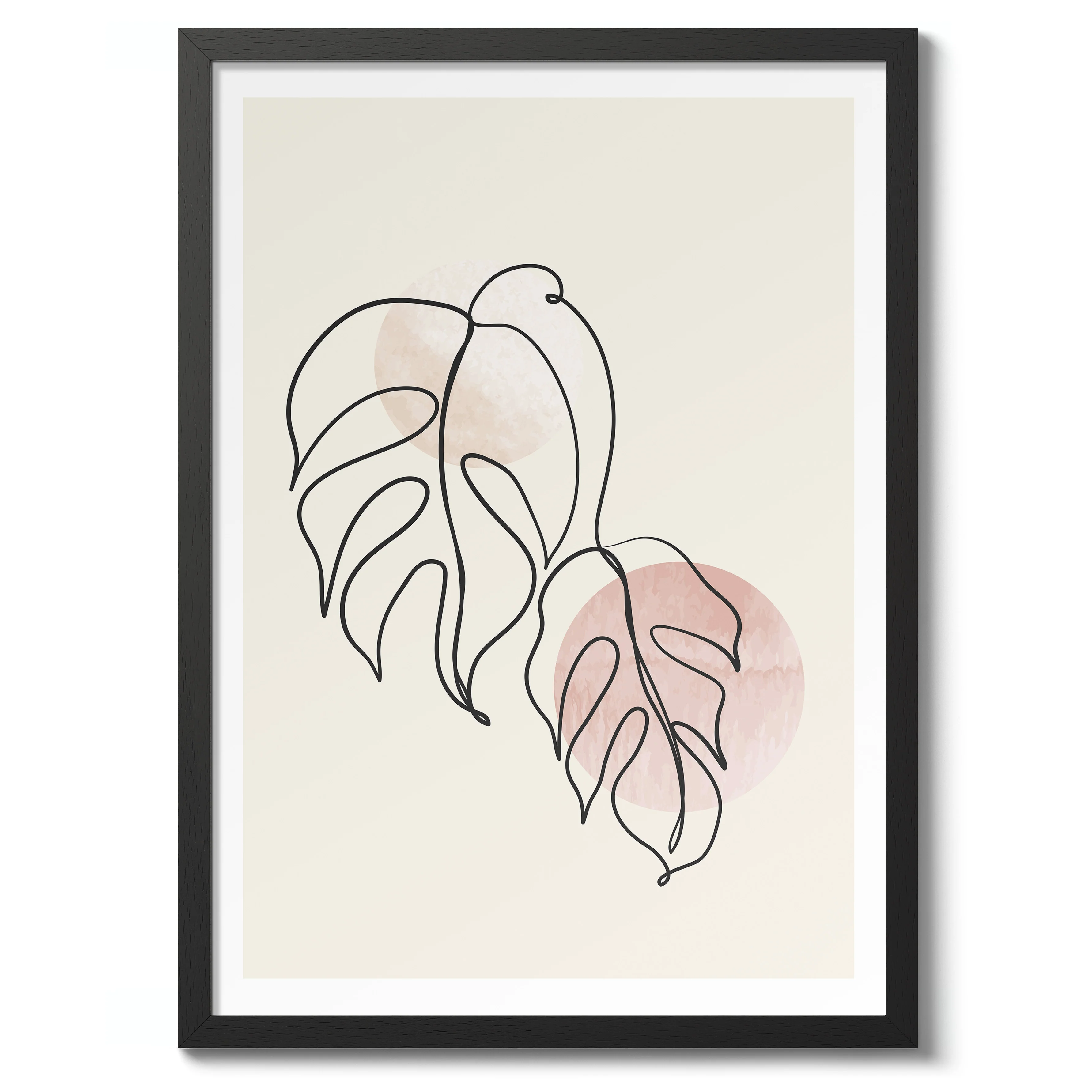 Monstera - Image 2