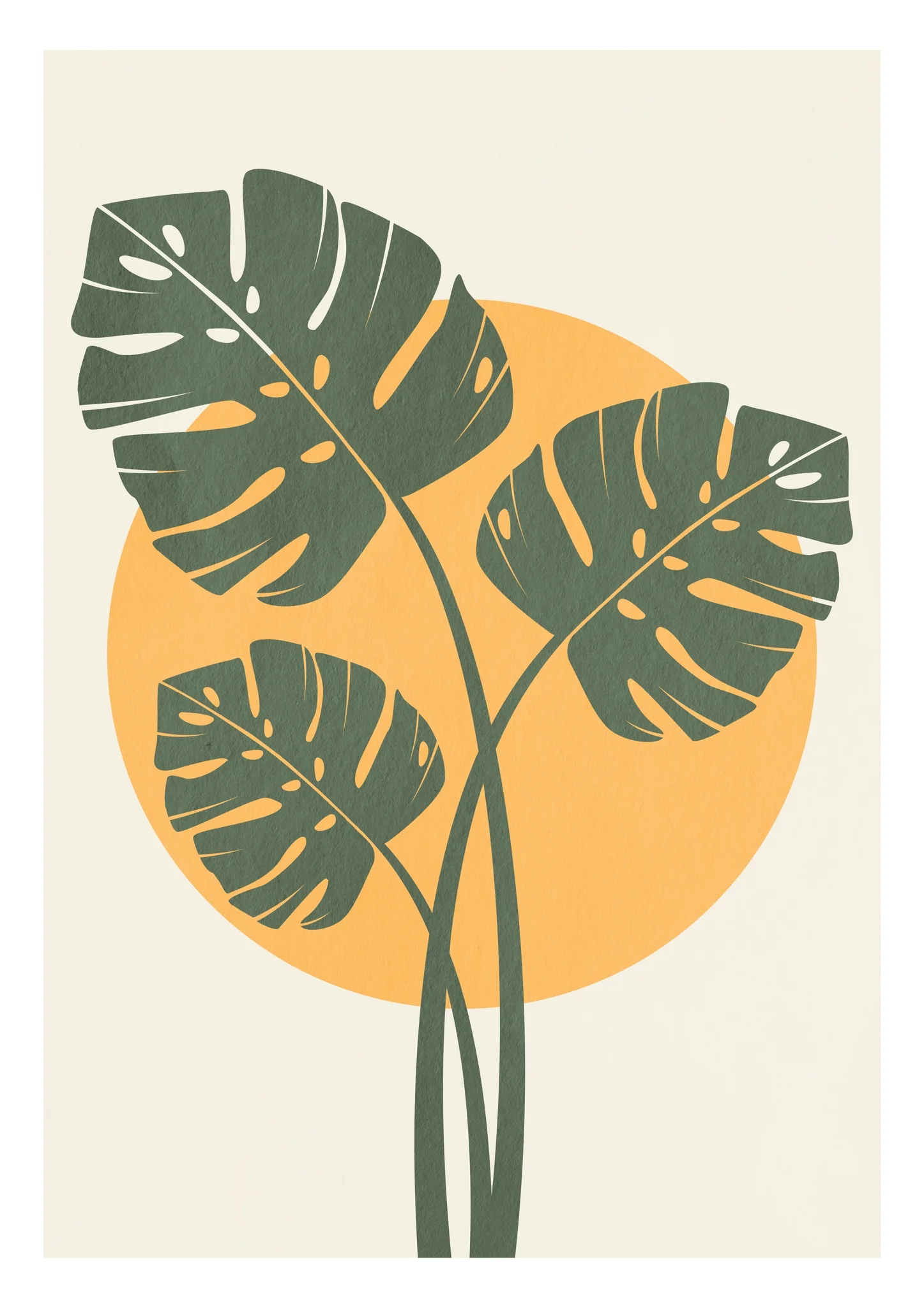 Monstera Leaves