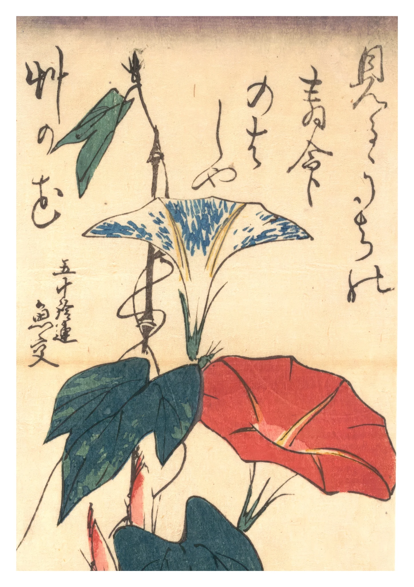 Morning Glories with Poem by Gyoko