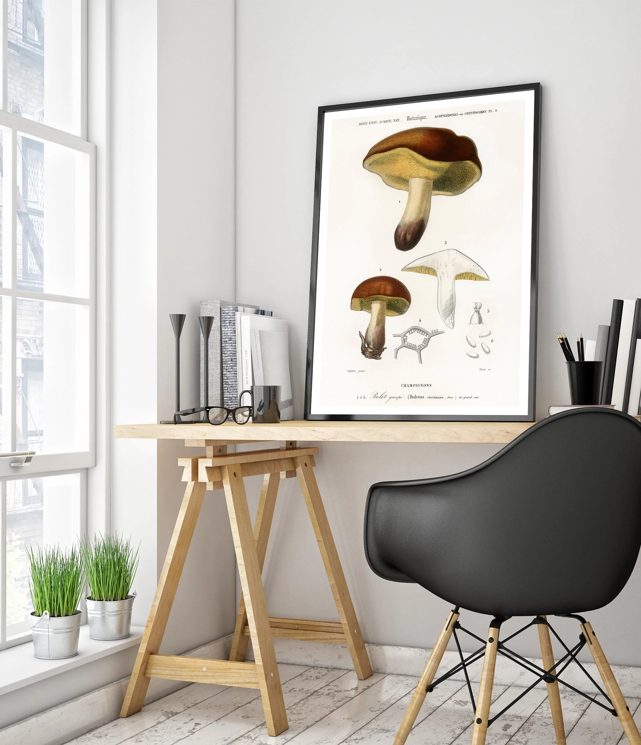 Mushrooms - Image 5