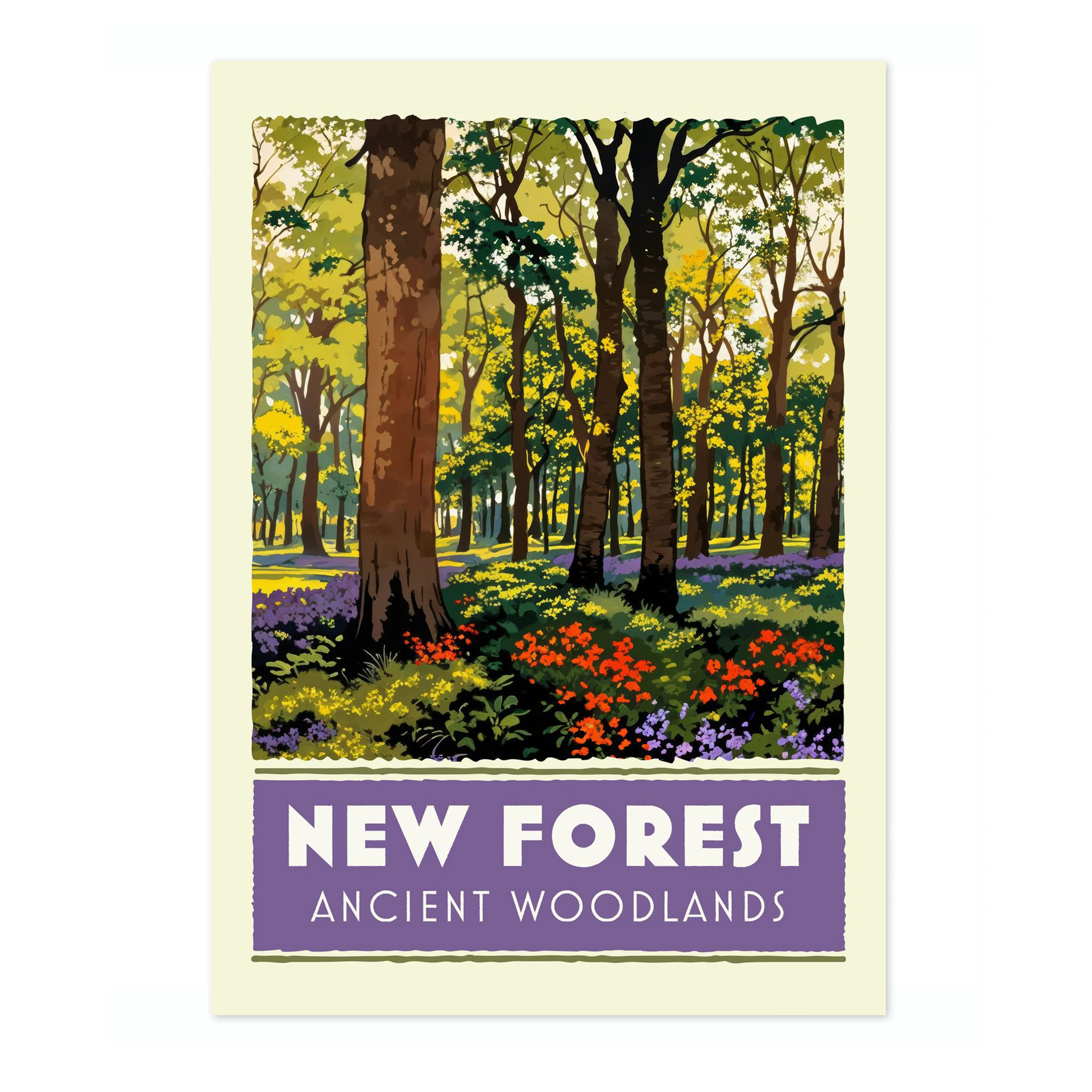 New Forest, Ancient Woodlands - Image 4