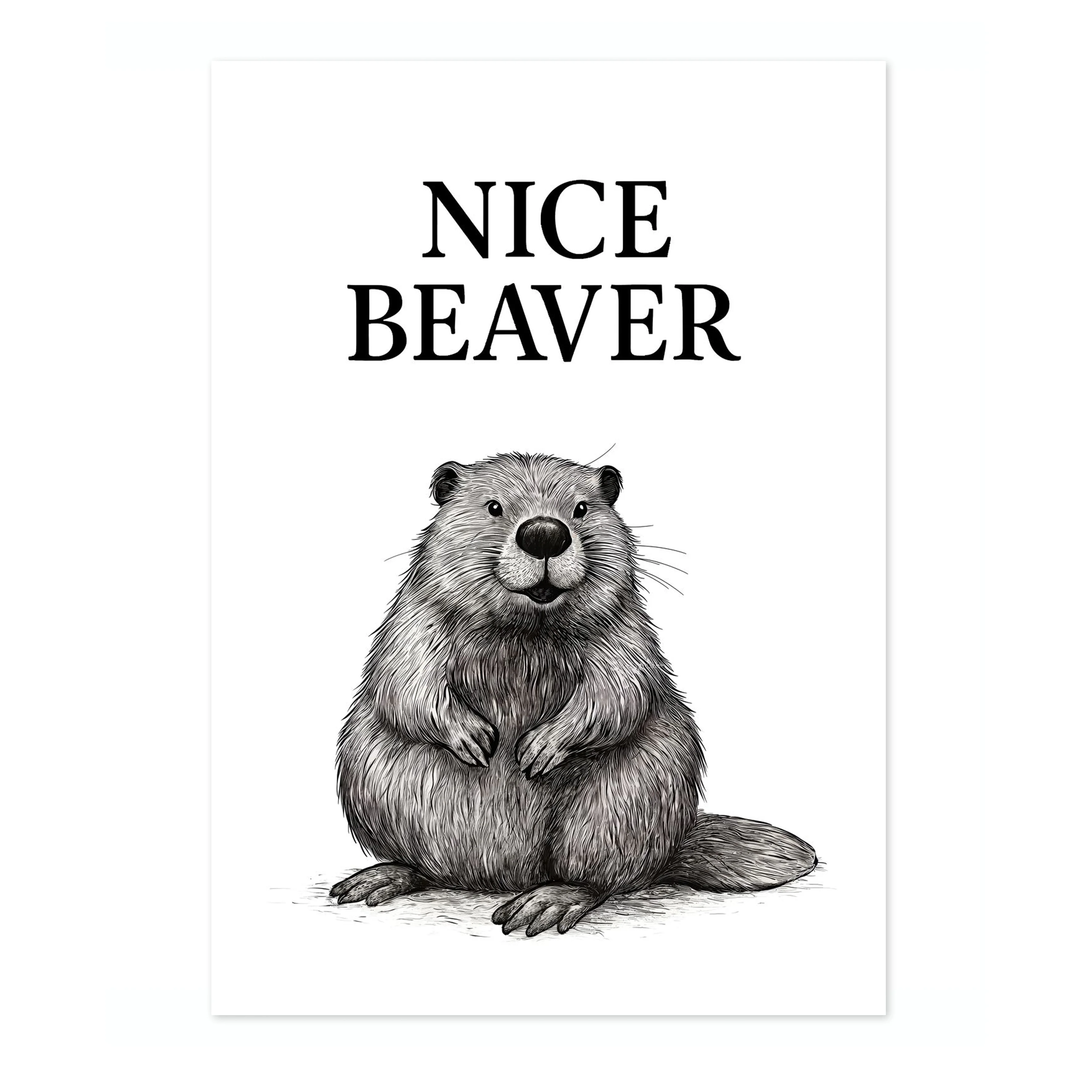 Nice Beaver - Image 4