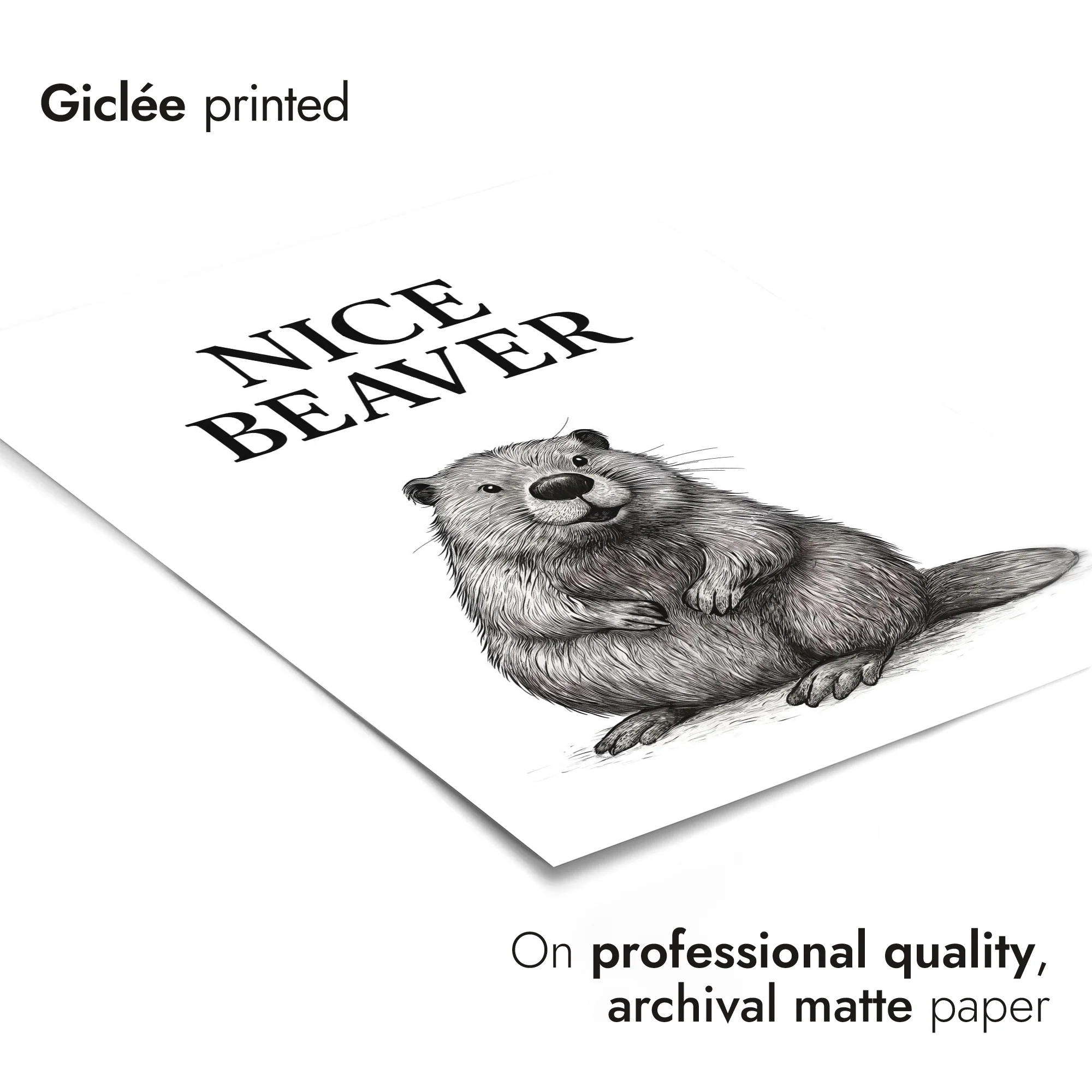 Nice Beaver - Image 6