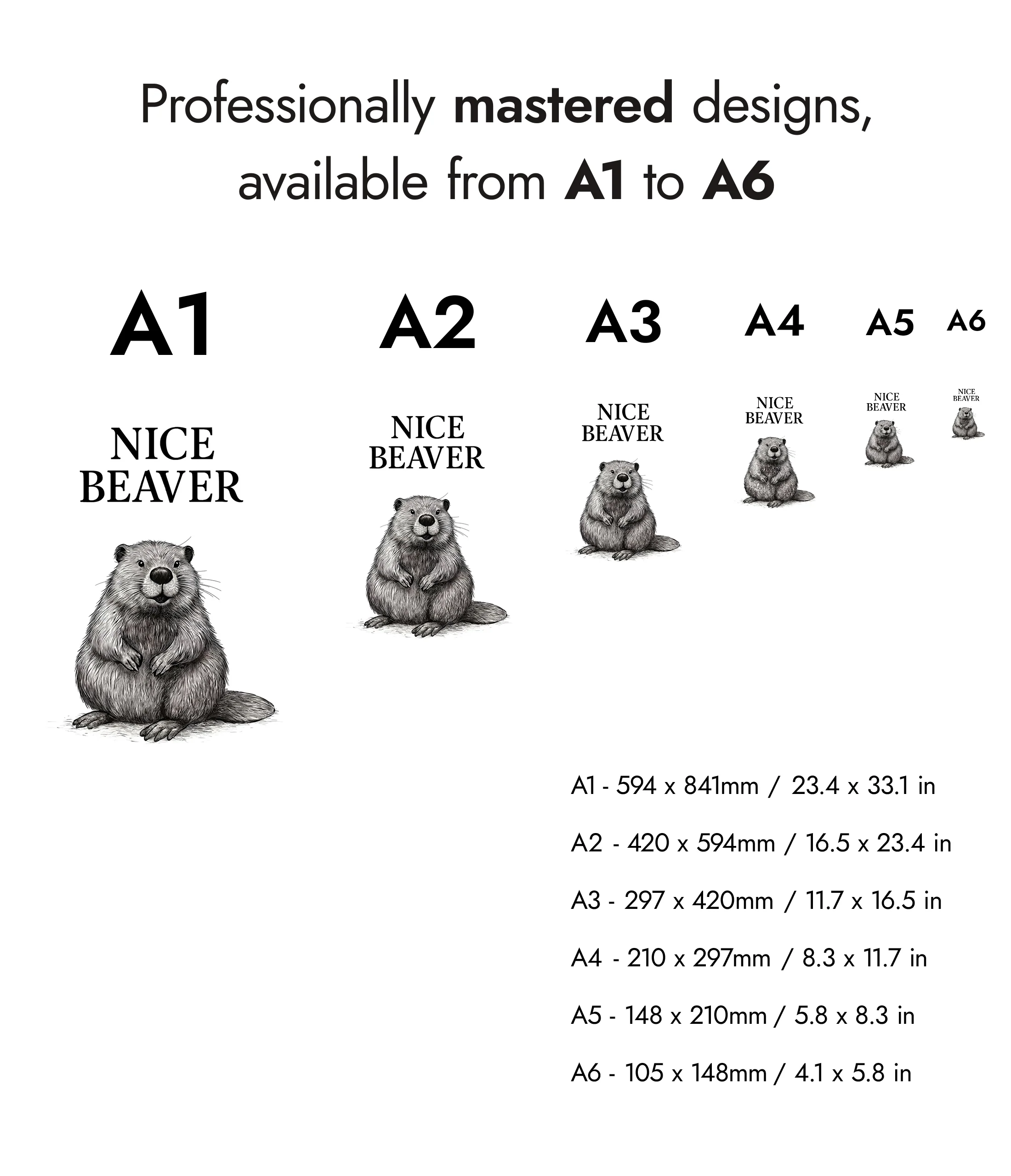 Nice Beaver - Image 8