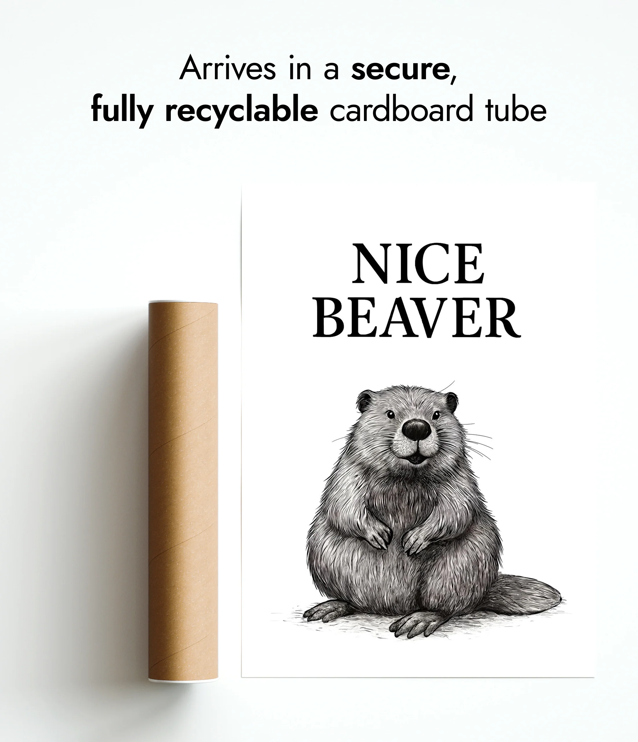 Nice Beaver - Image 9