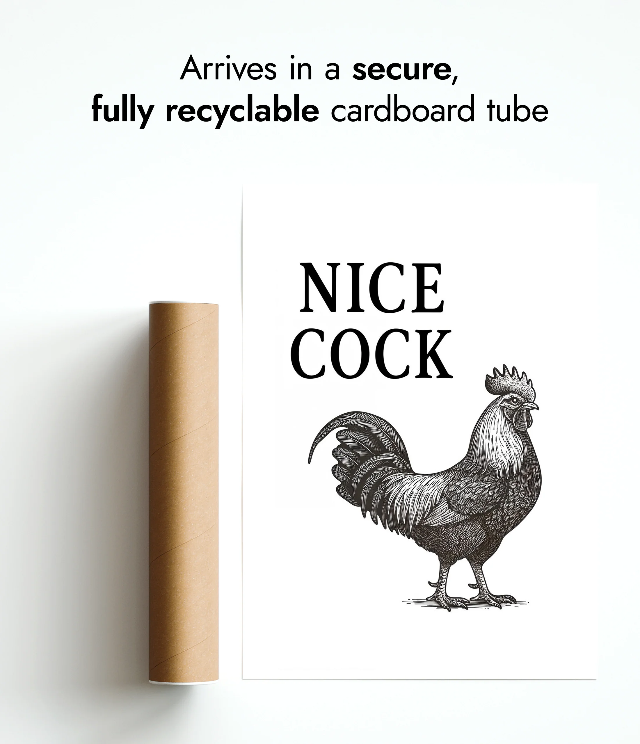 Nice Cock - Image 9