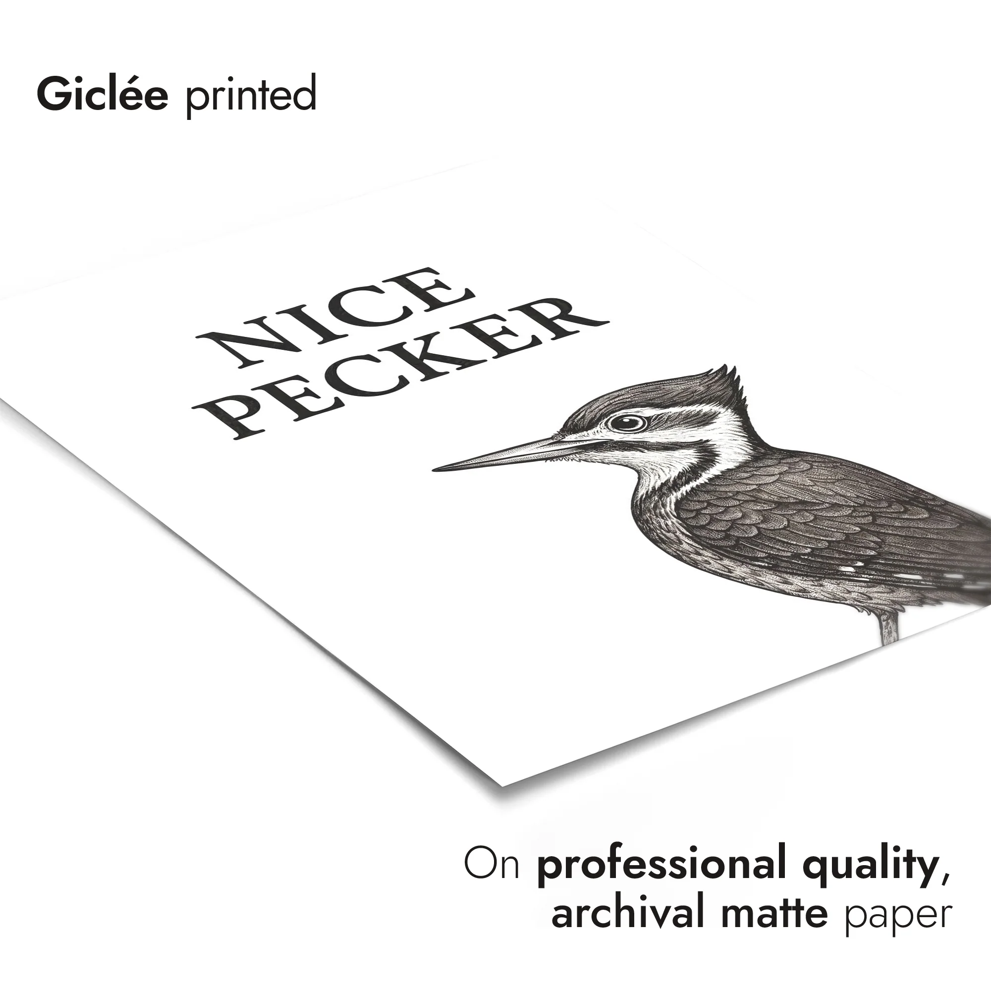 Nice Pecker - Image 6