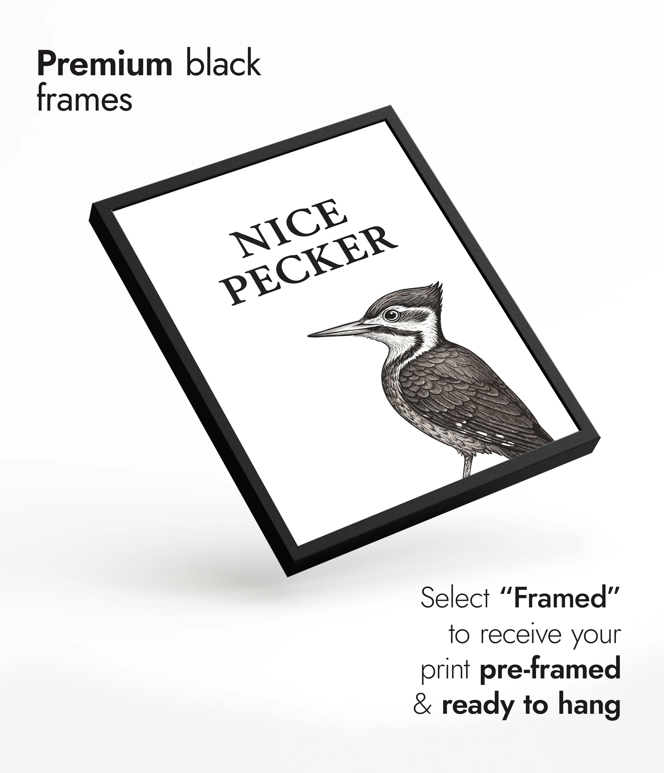 Nice Pecker - Image 7