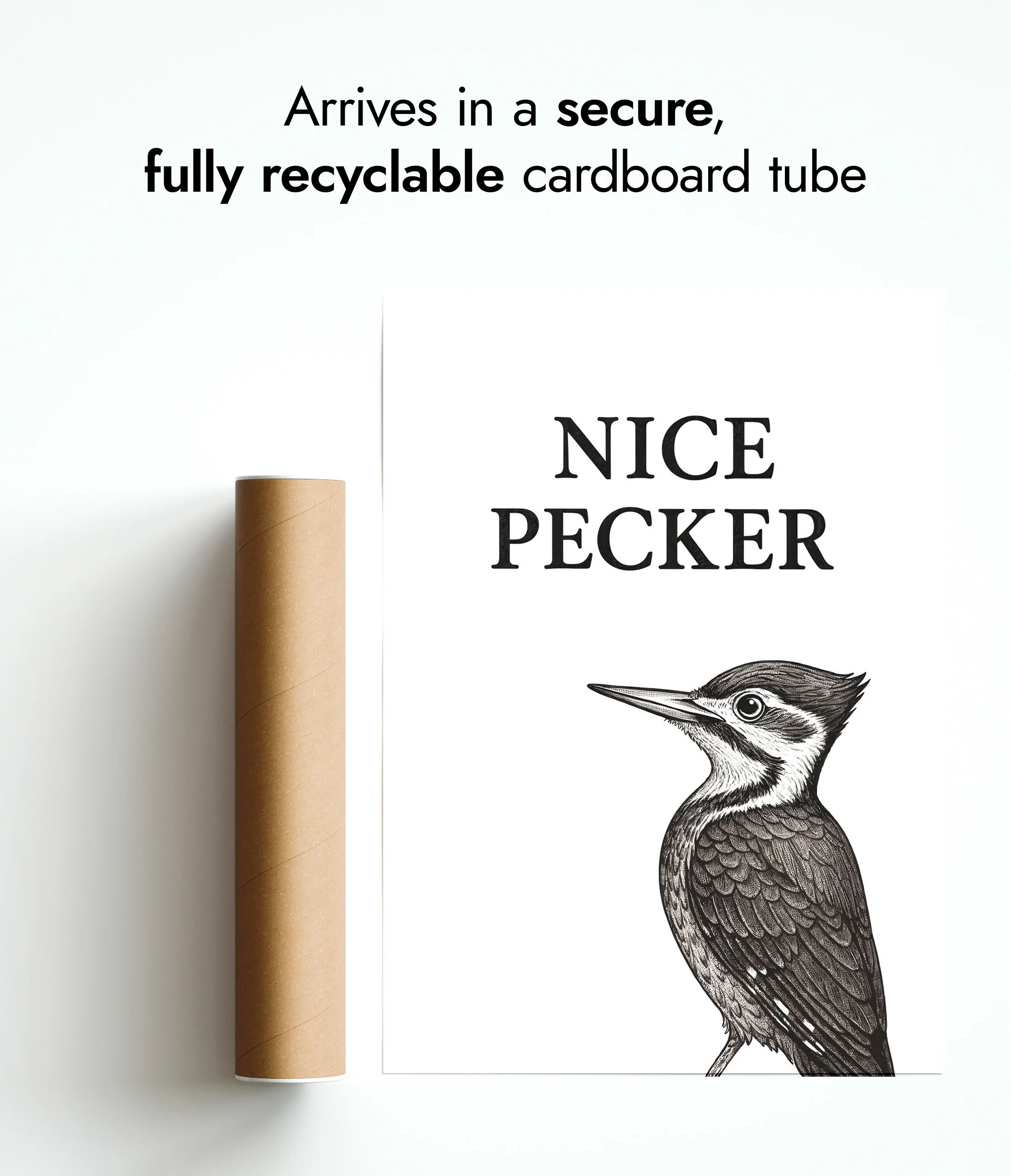 Nice Pecker - Image 9