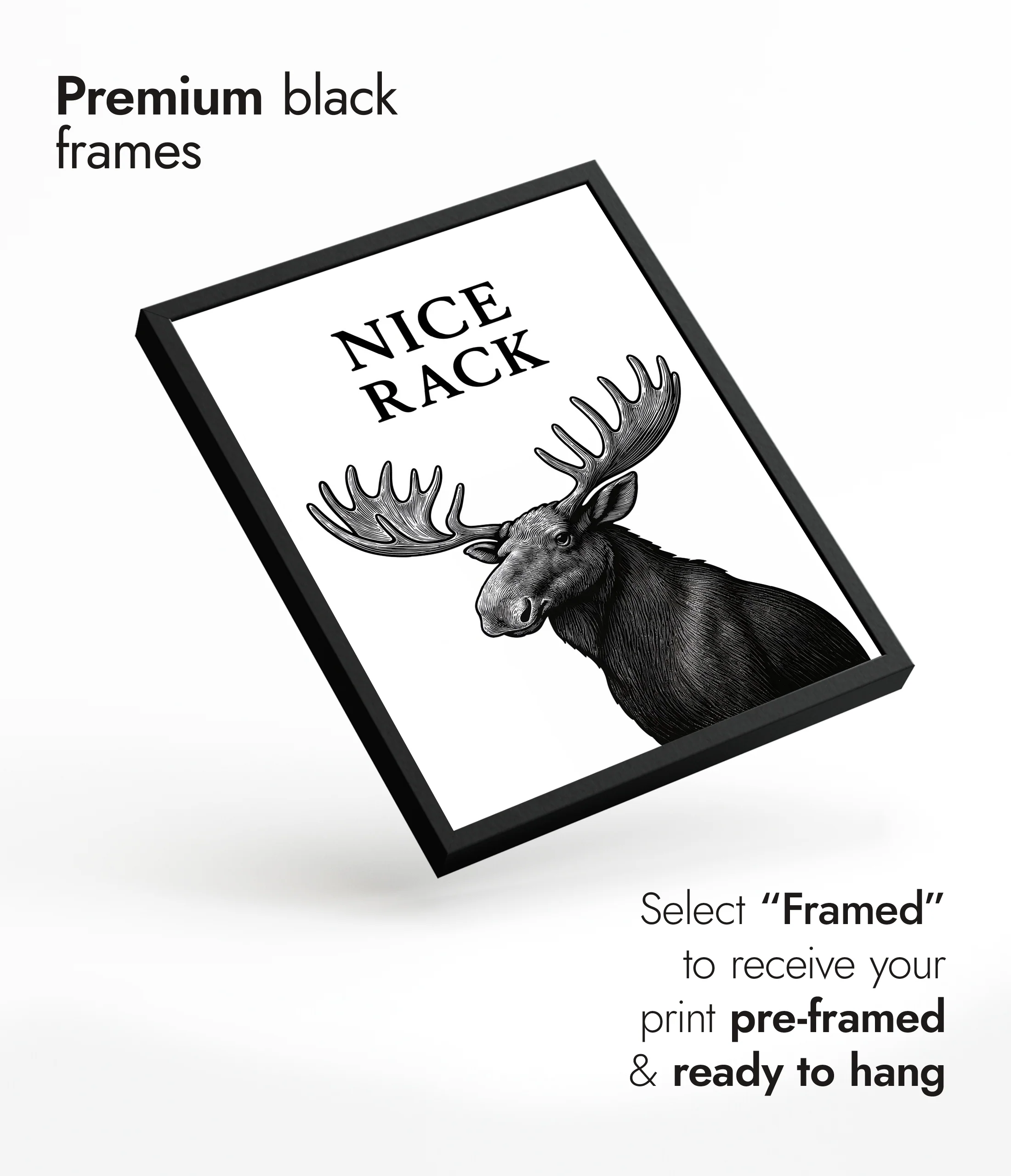 Nice Rack - Image 7