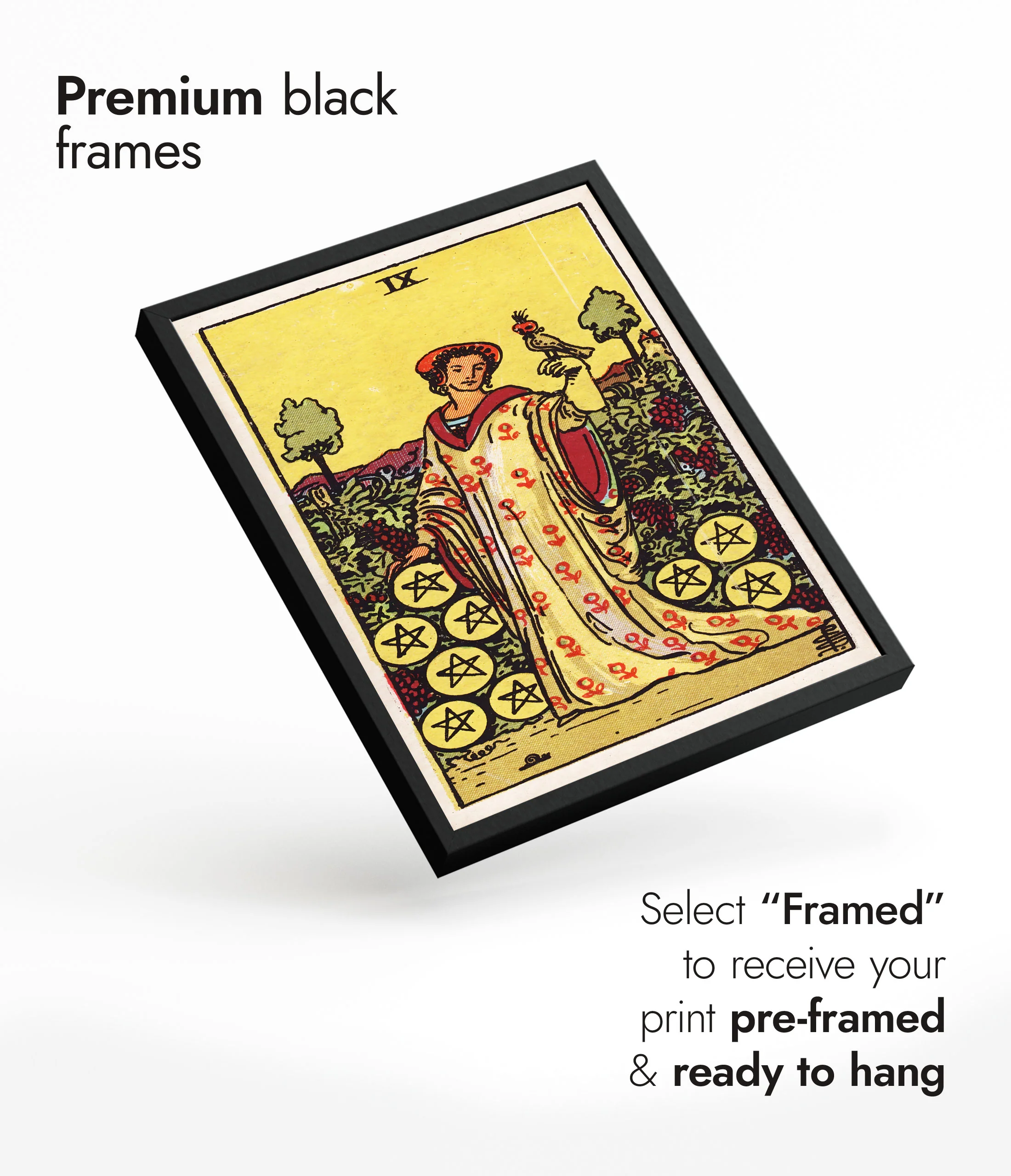 Nine of Pentacles - Image 7