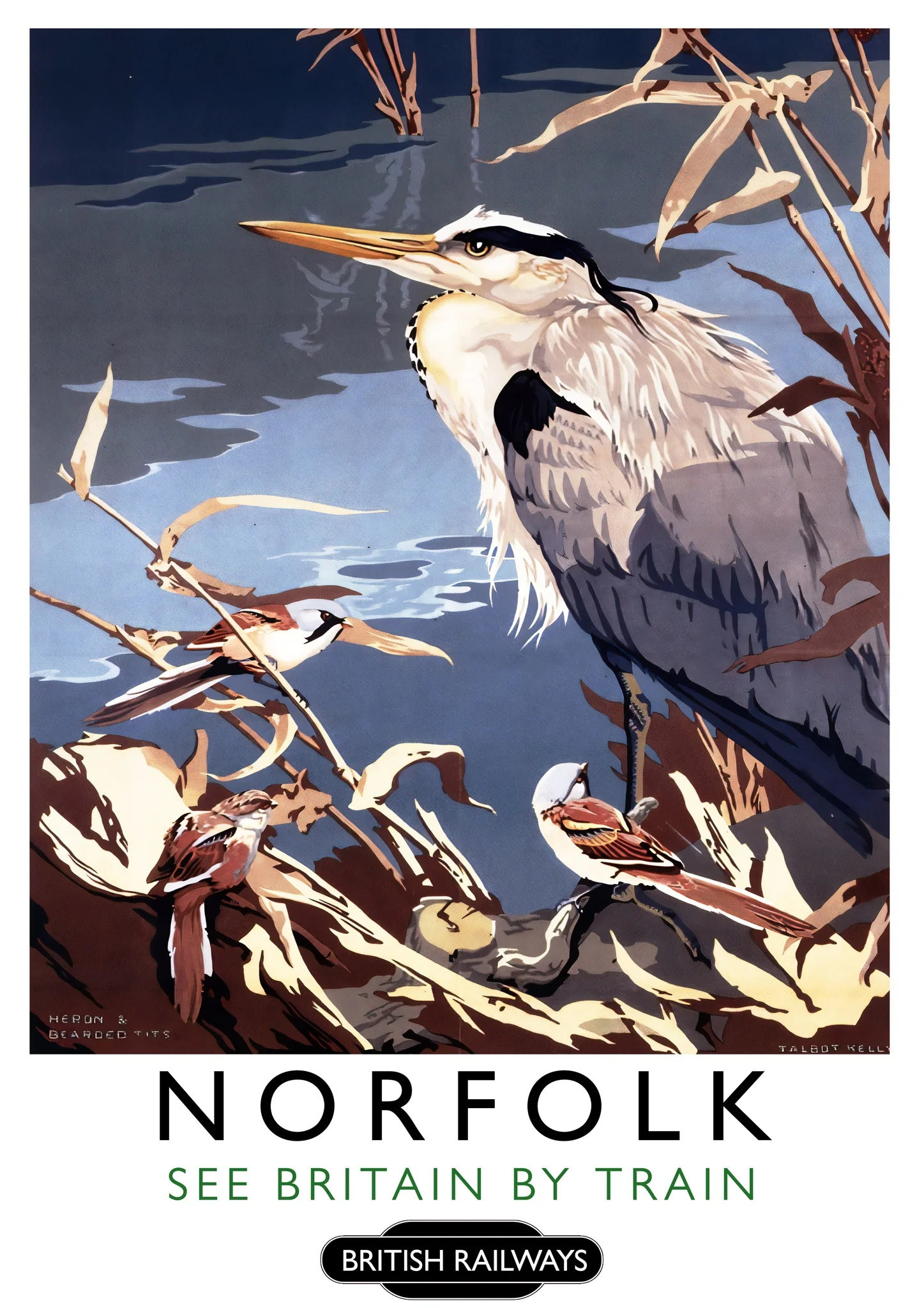 Norfolk