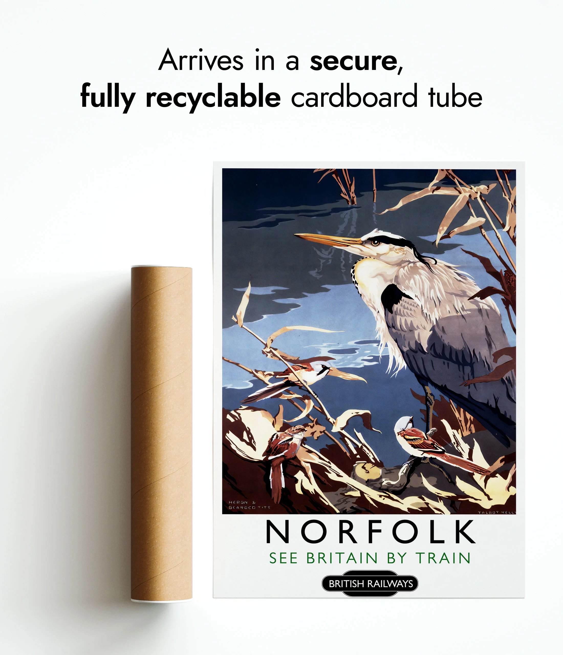 Norfolk - Image 9