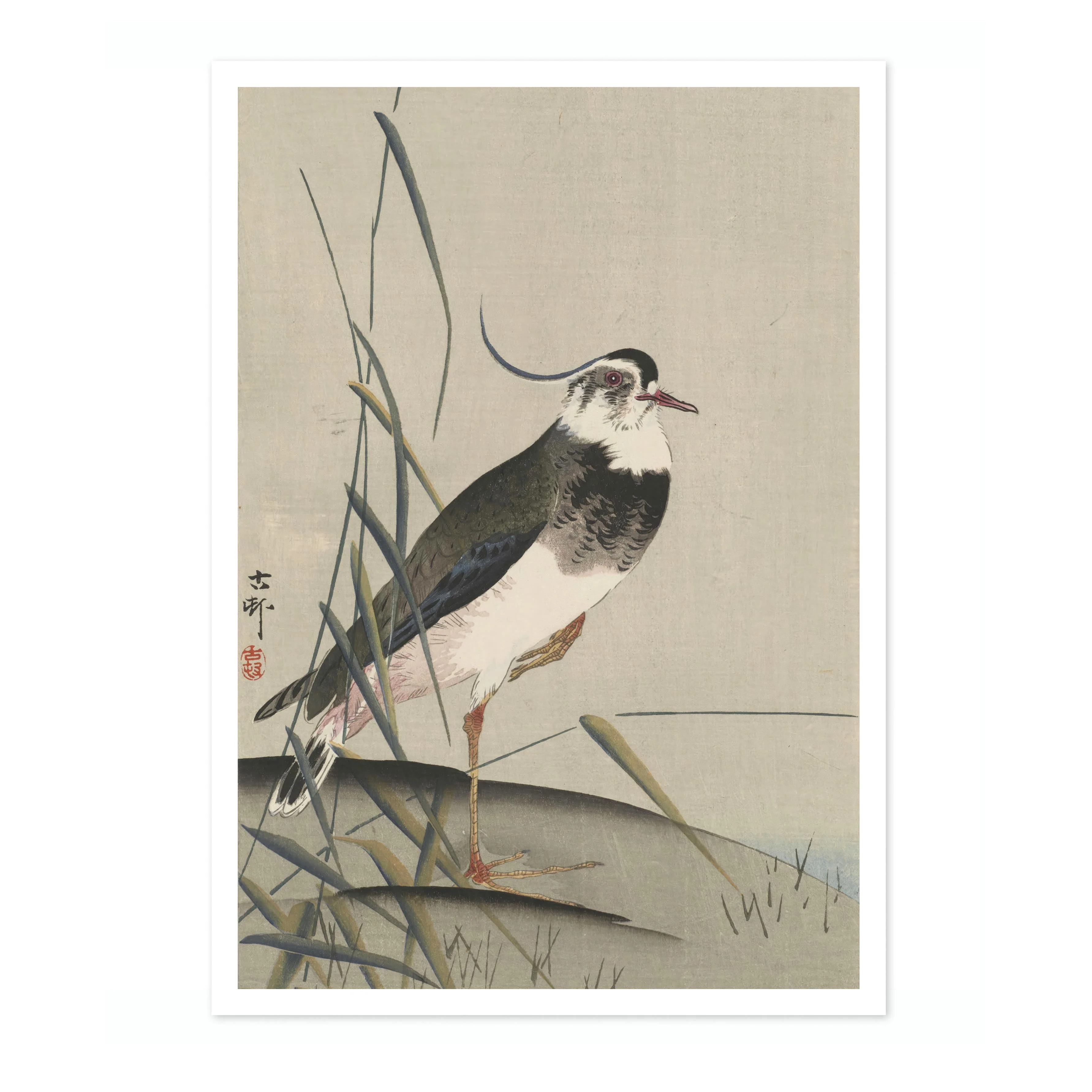 Northern Lapwing & Reeds - Image 4