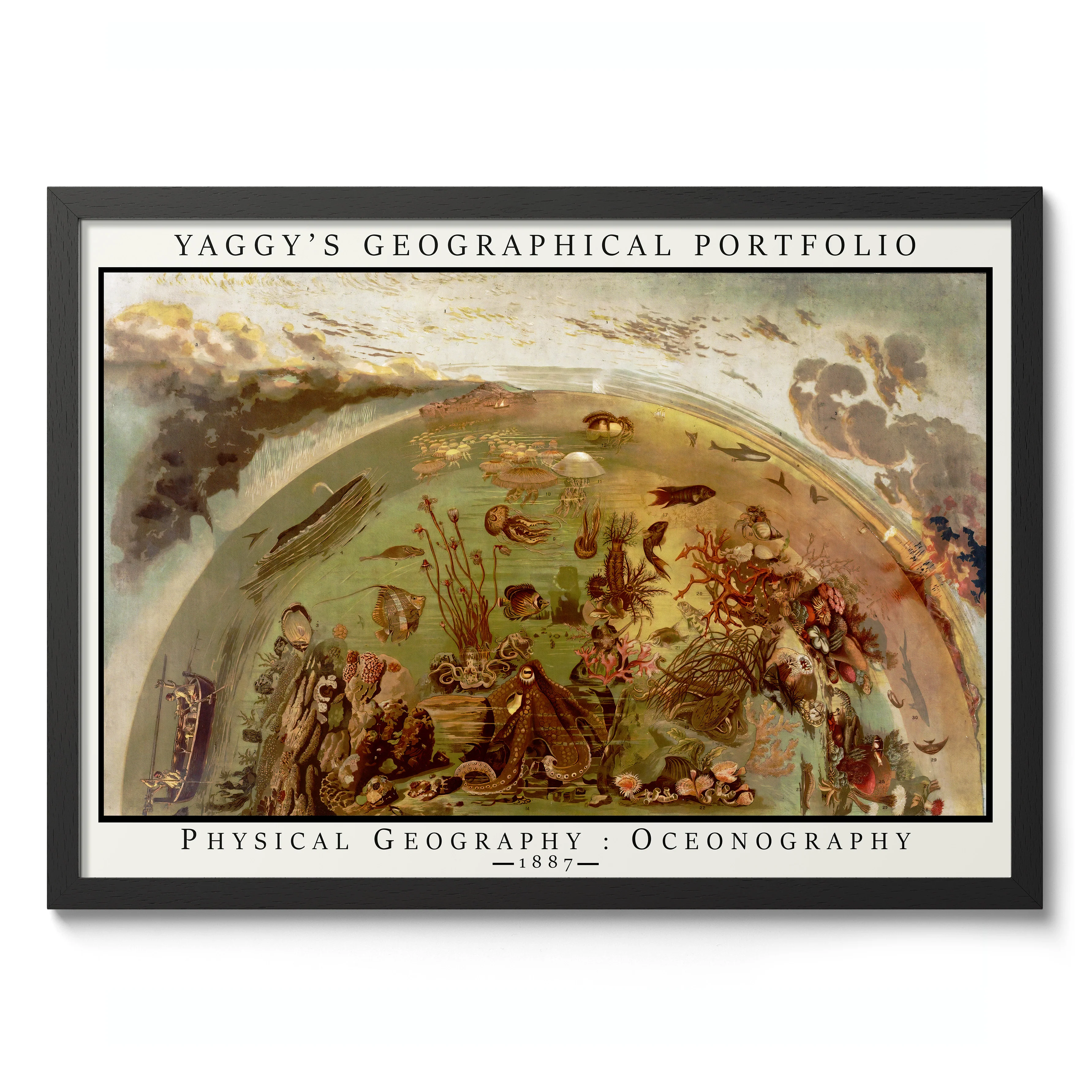 Oceonography - Image 2