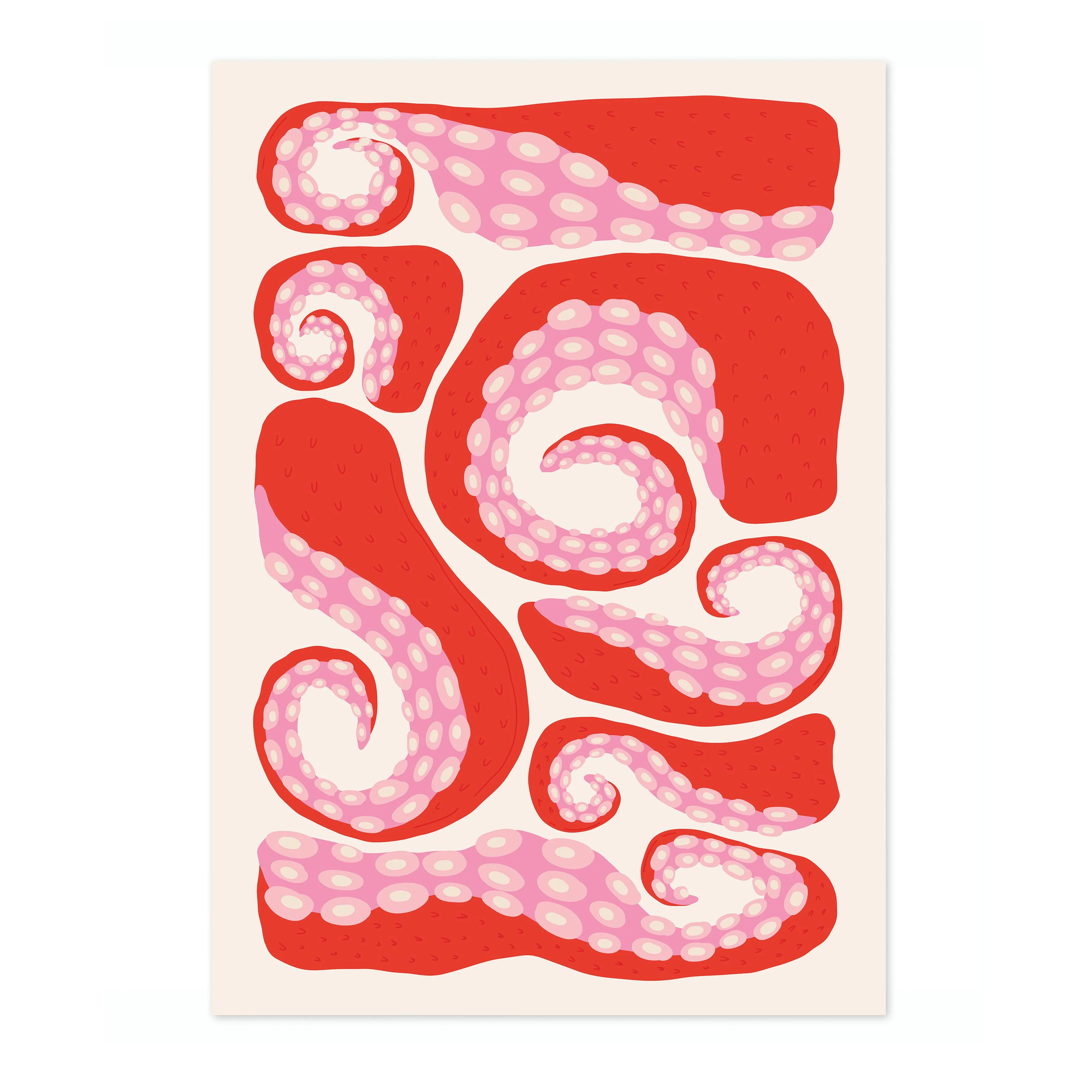 Octopus - Image 4