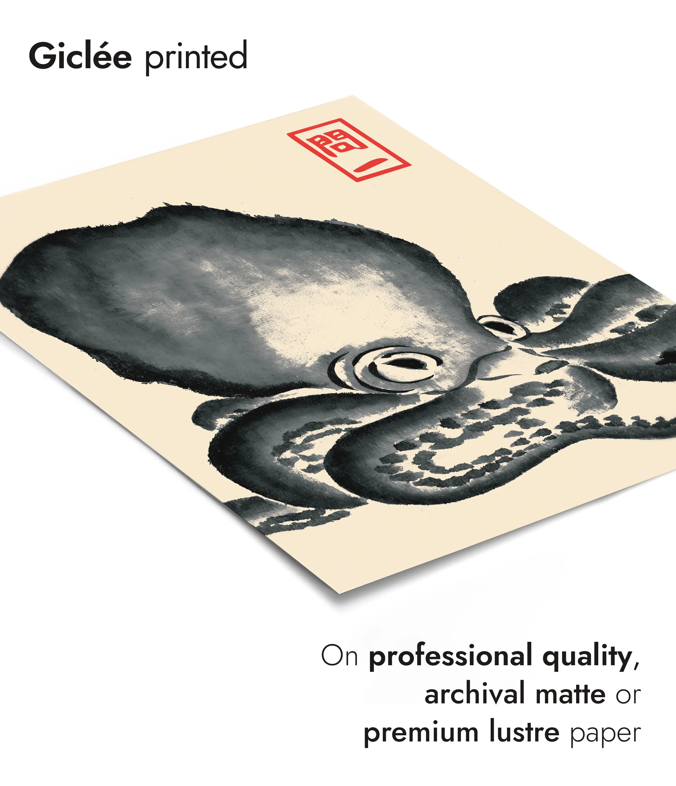 Octopus - Image 6