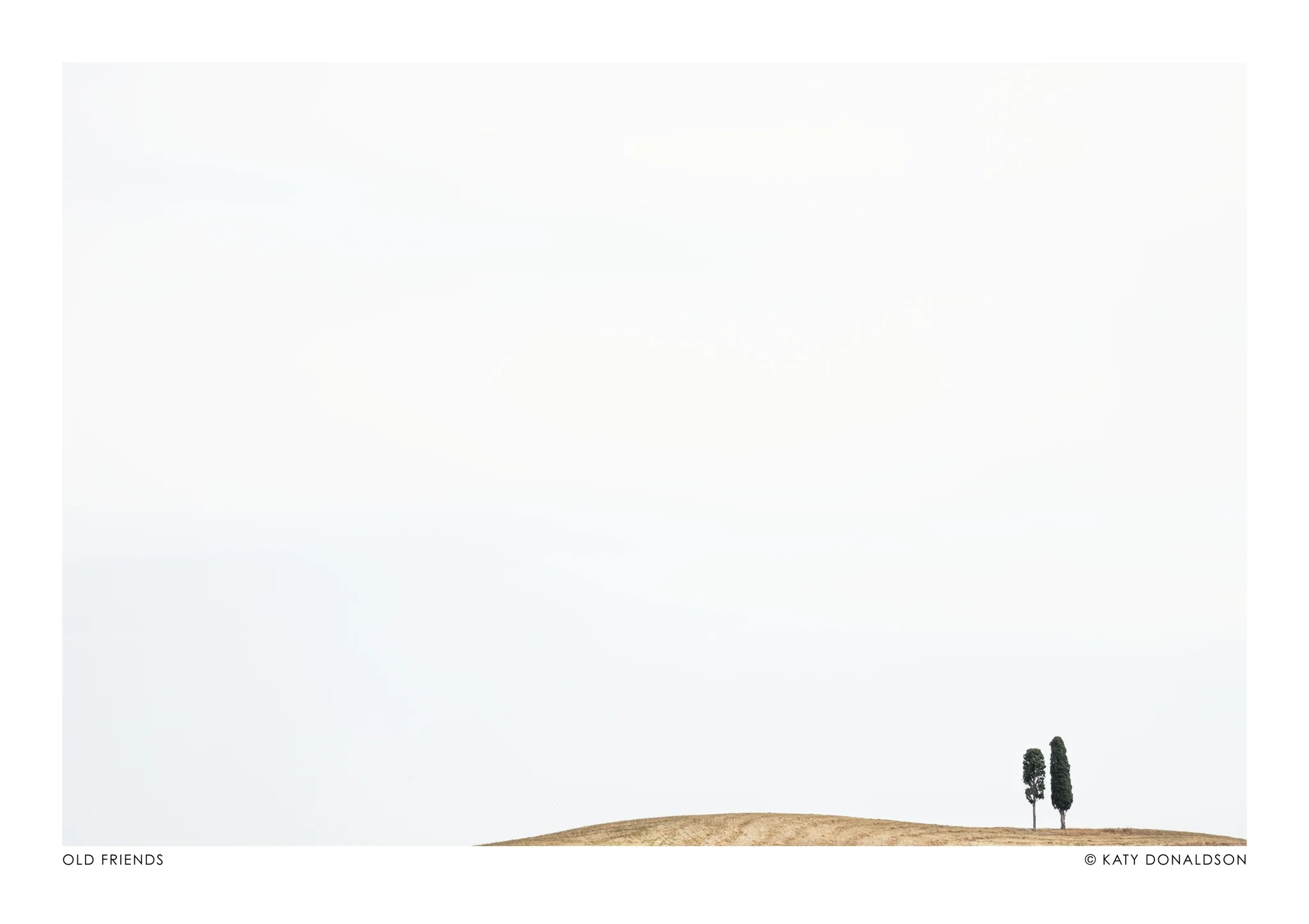 Old Friends Landscape