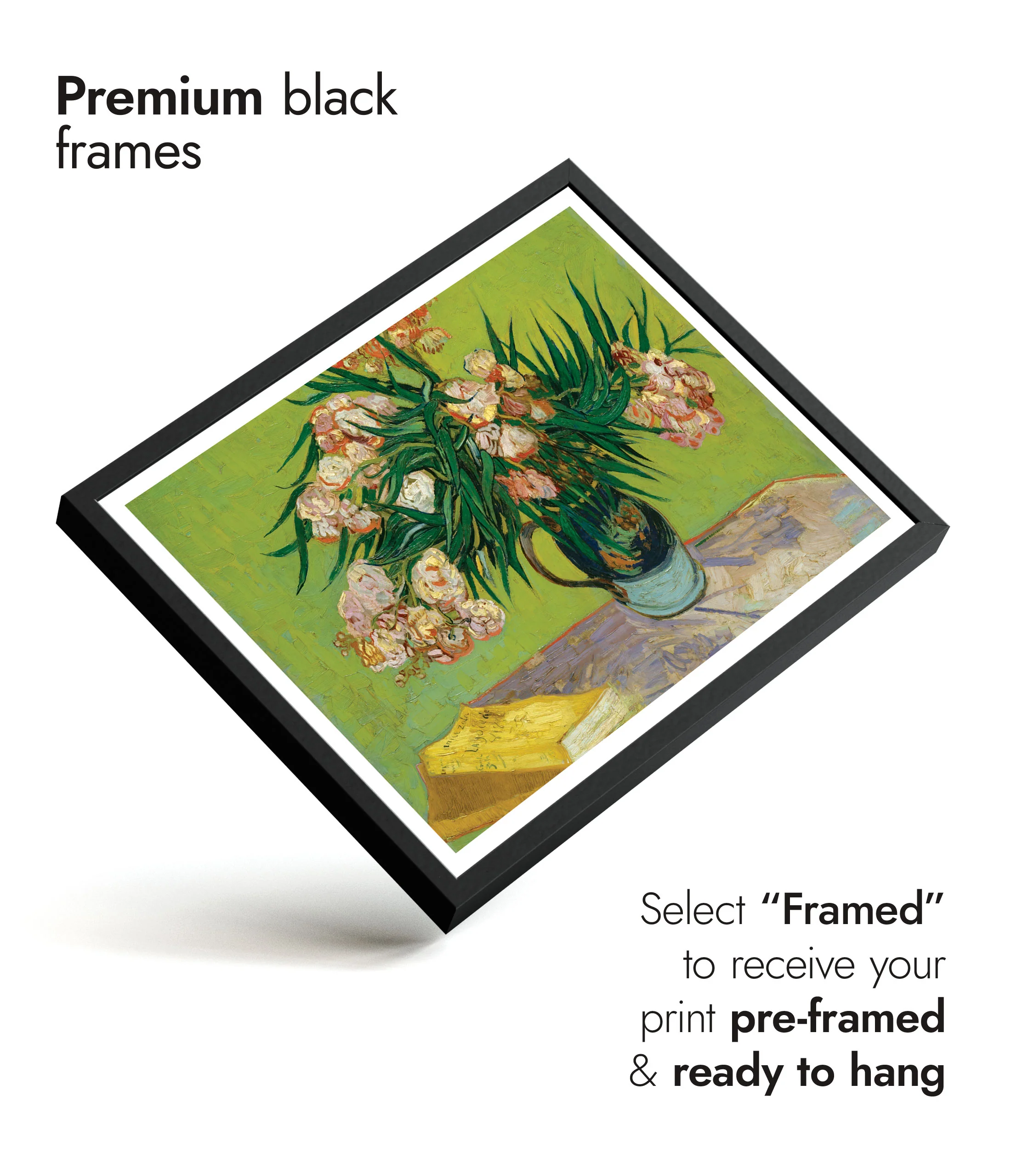 Oleanders - Image 7