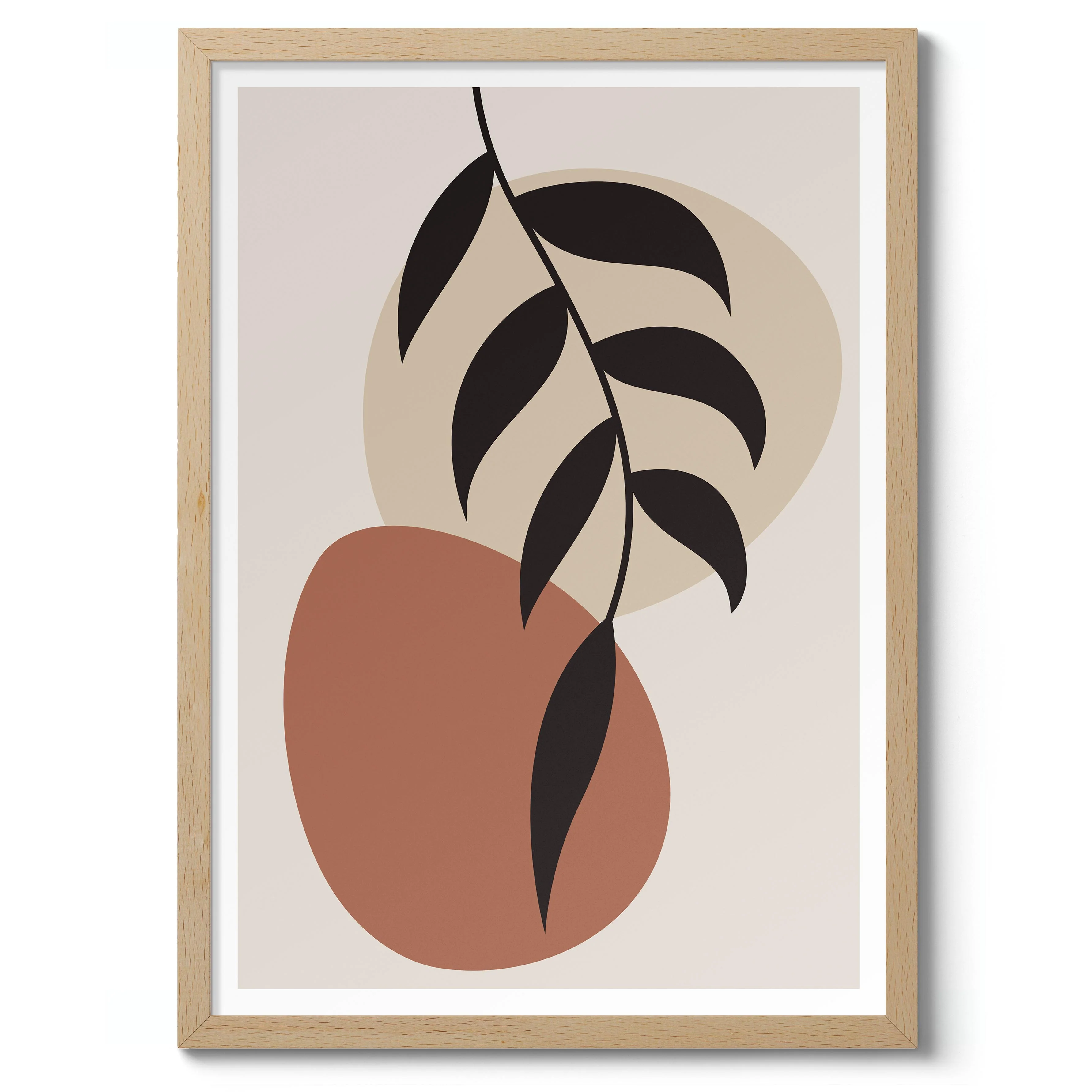 Olive Branch - Image 3