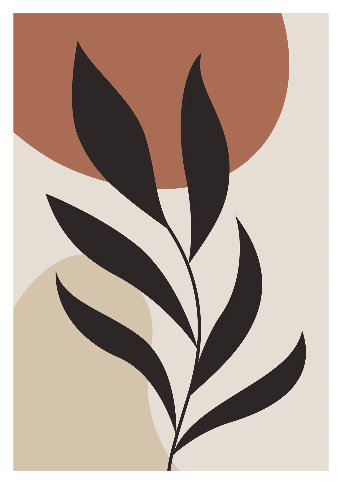 Olive Branch