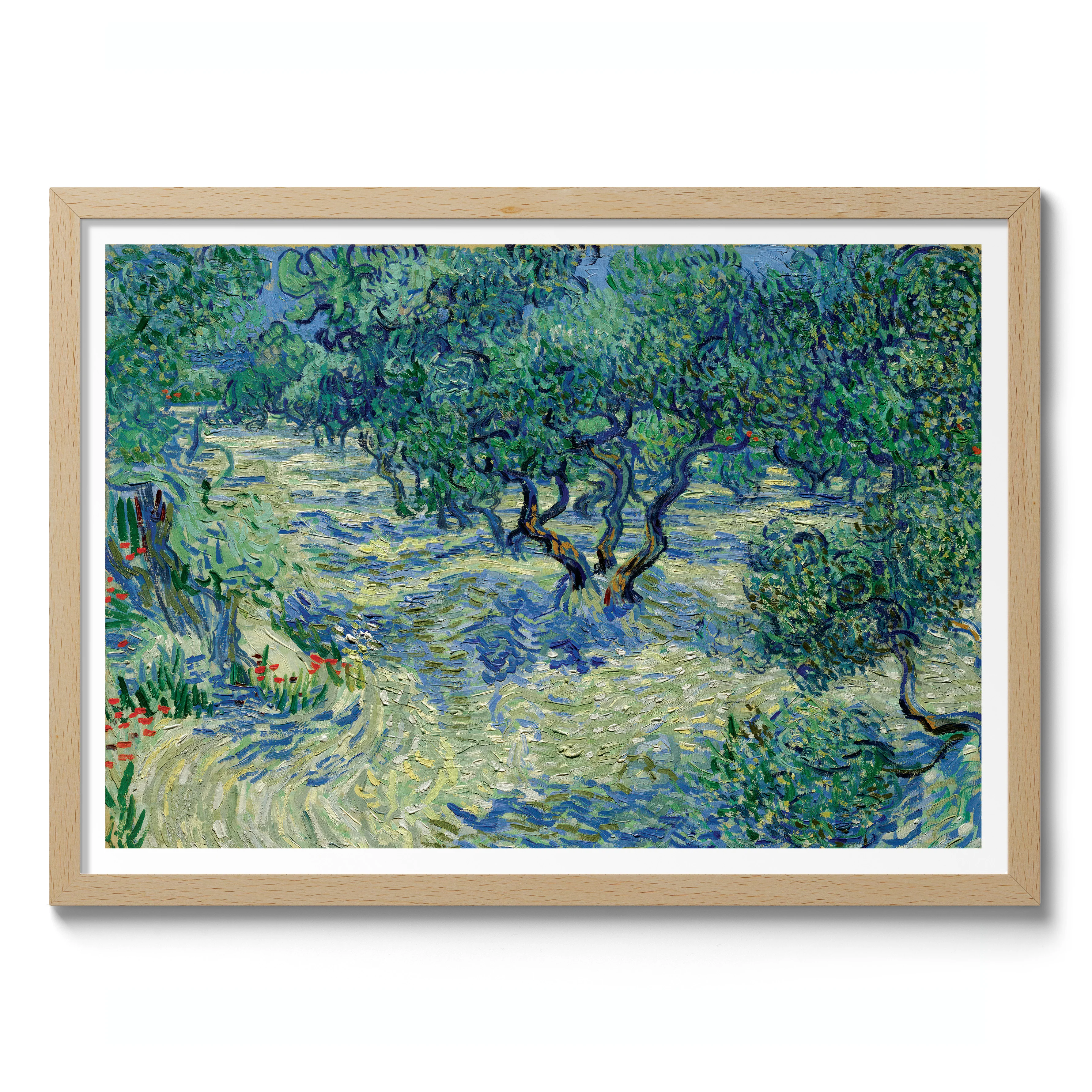 Olive Orchard - Image 3