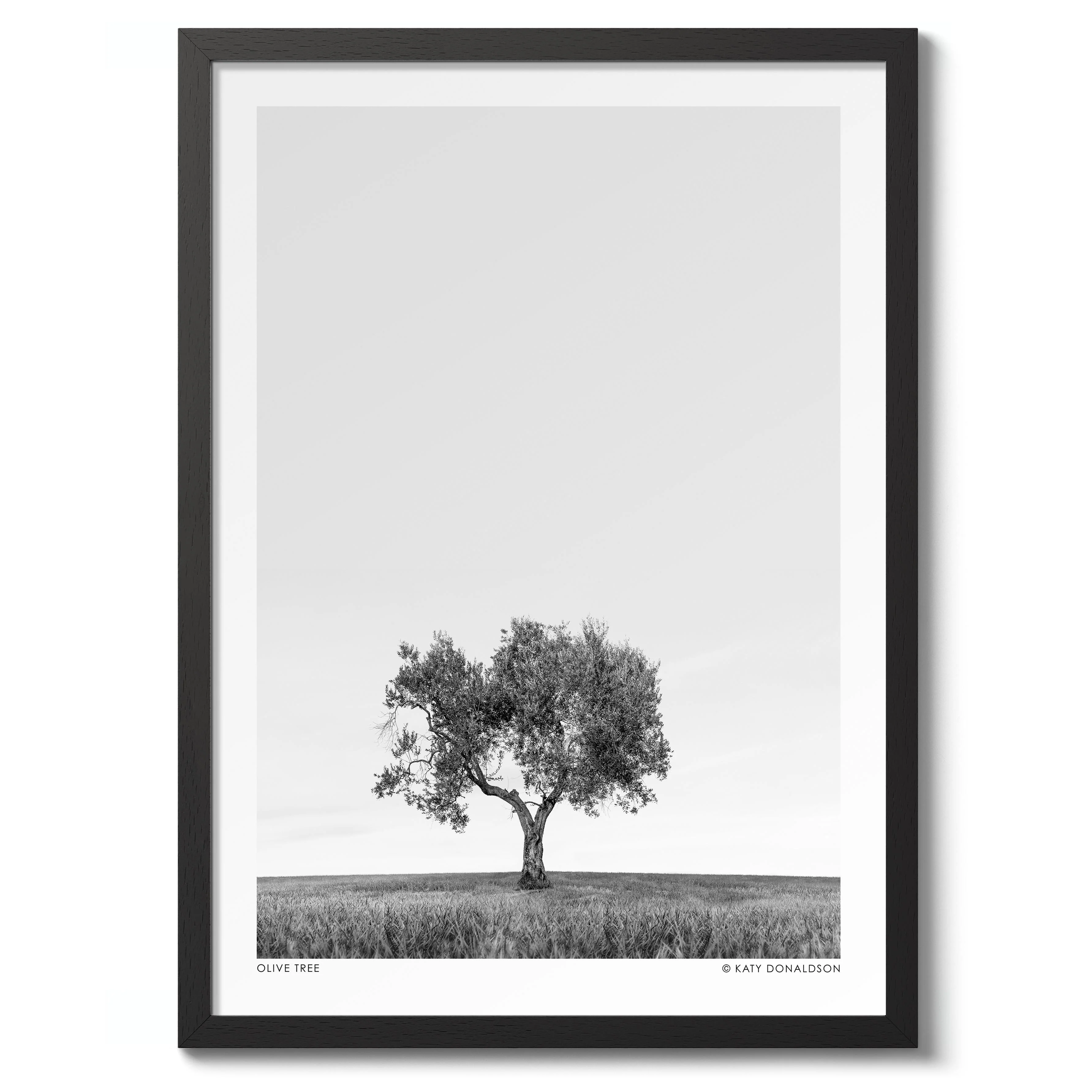 Olive Tree - Image 2