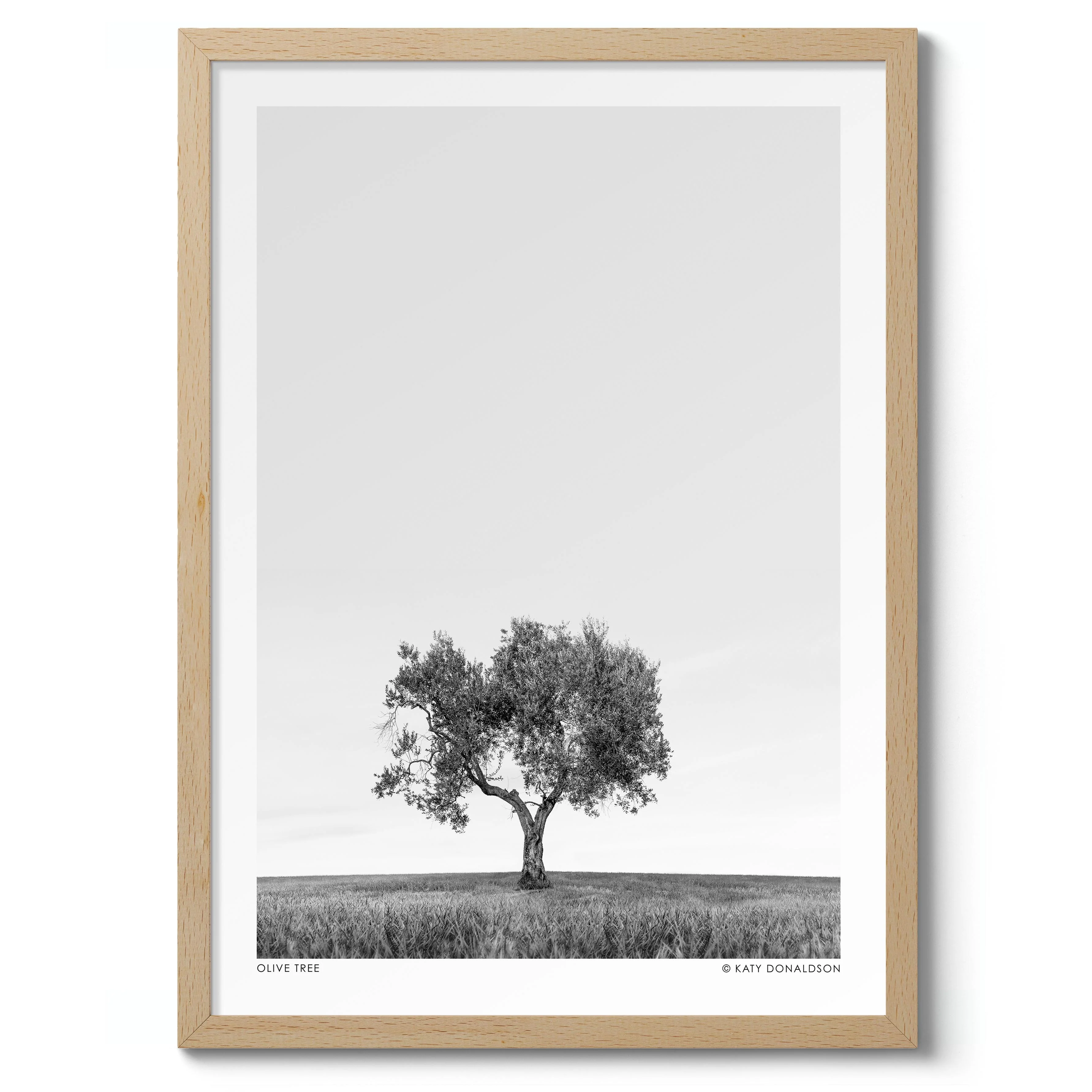 Olive Tree - Image 3