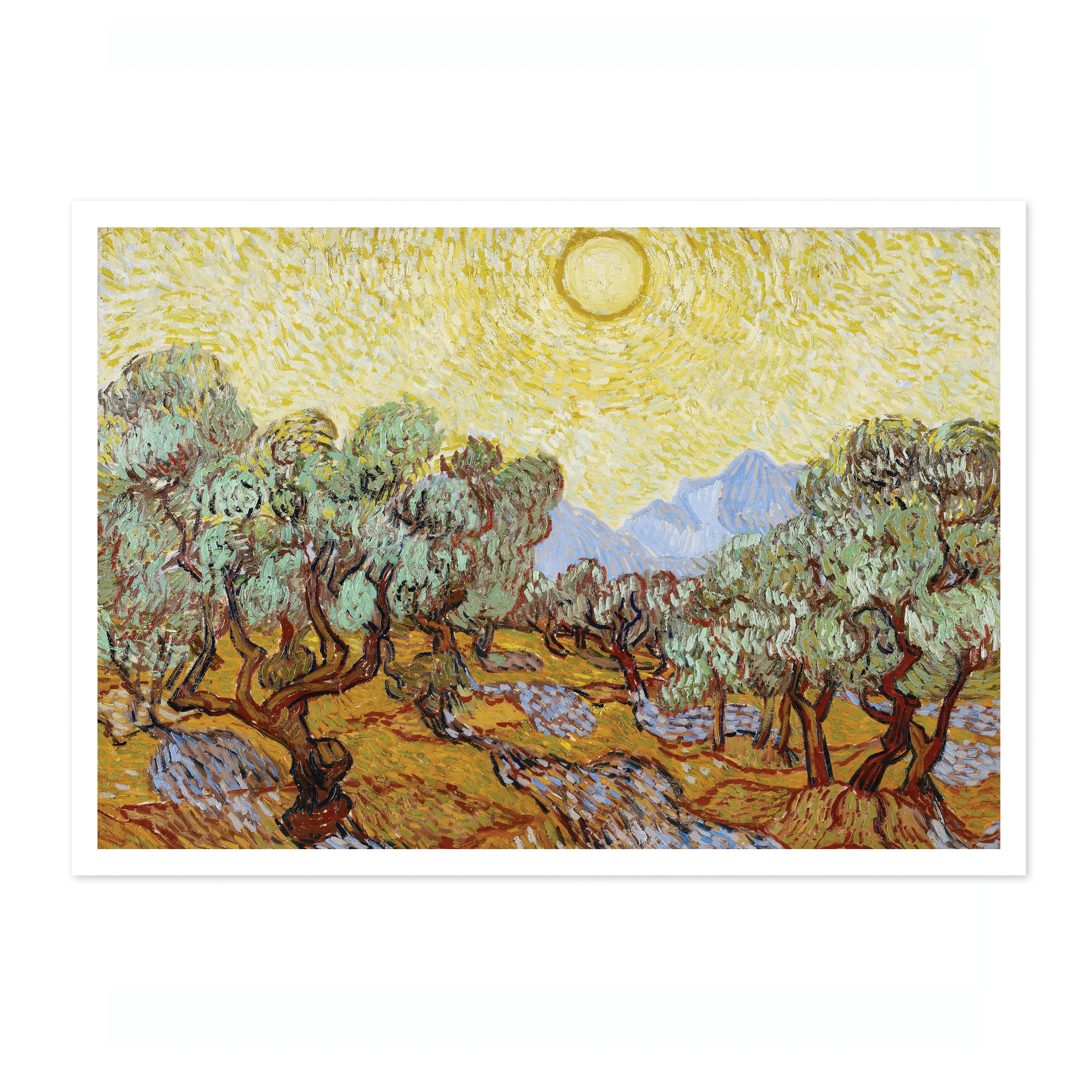 Olive Trees - Image 4